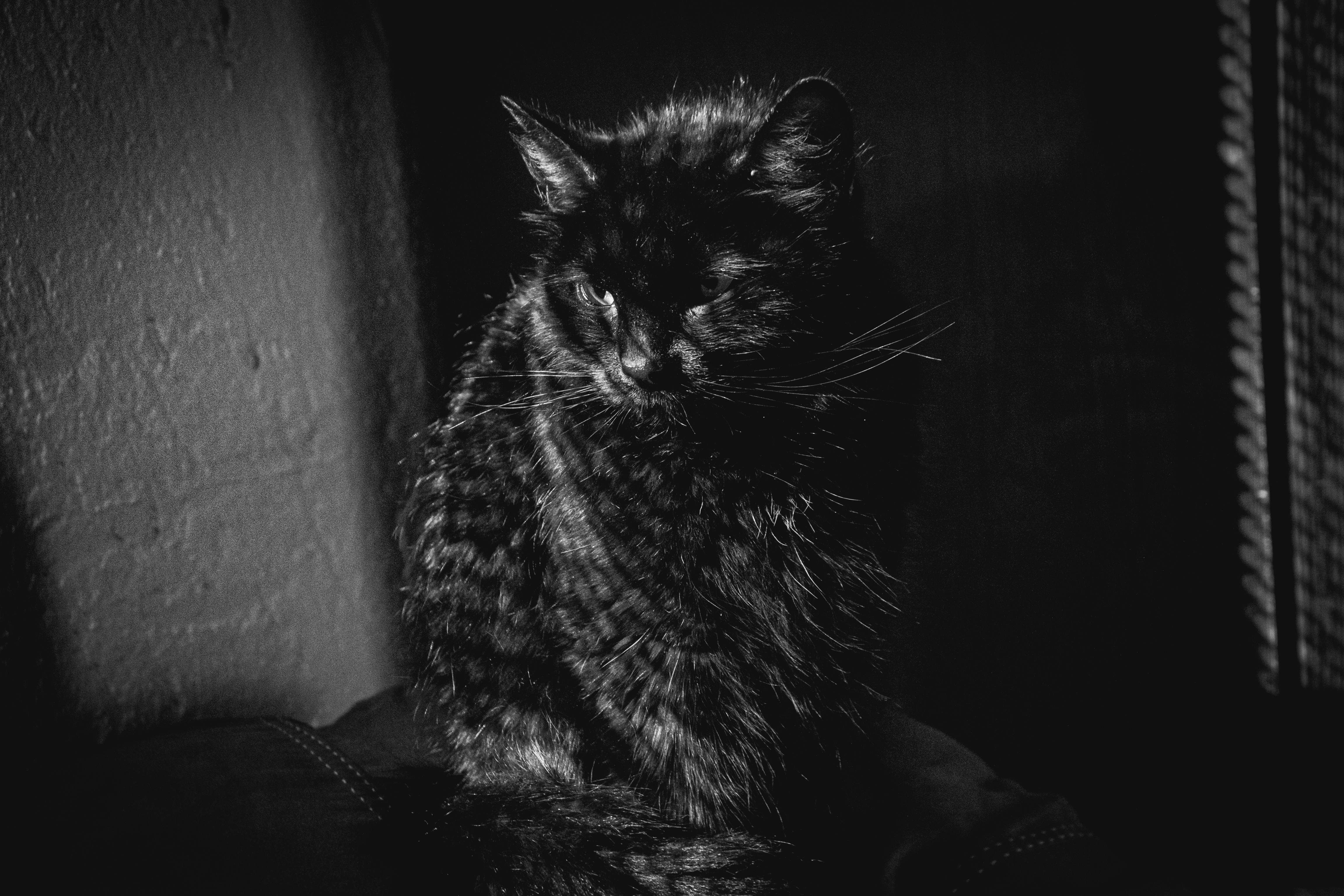 Photo by autisticphotographer2