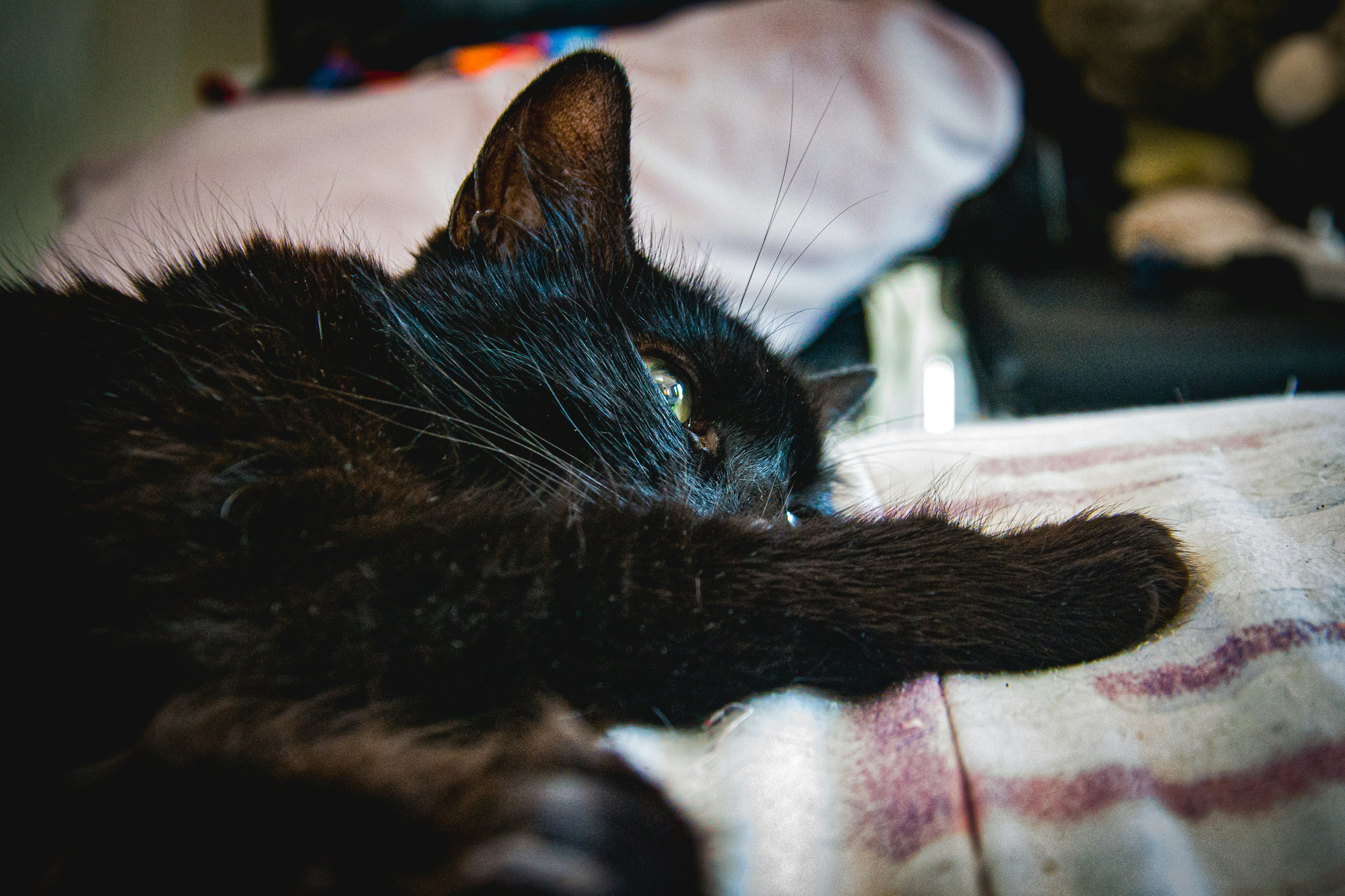 Photo by autisticphotographer2