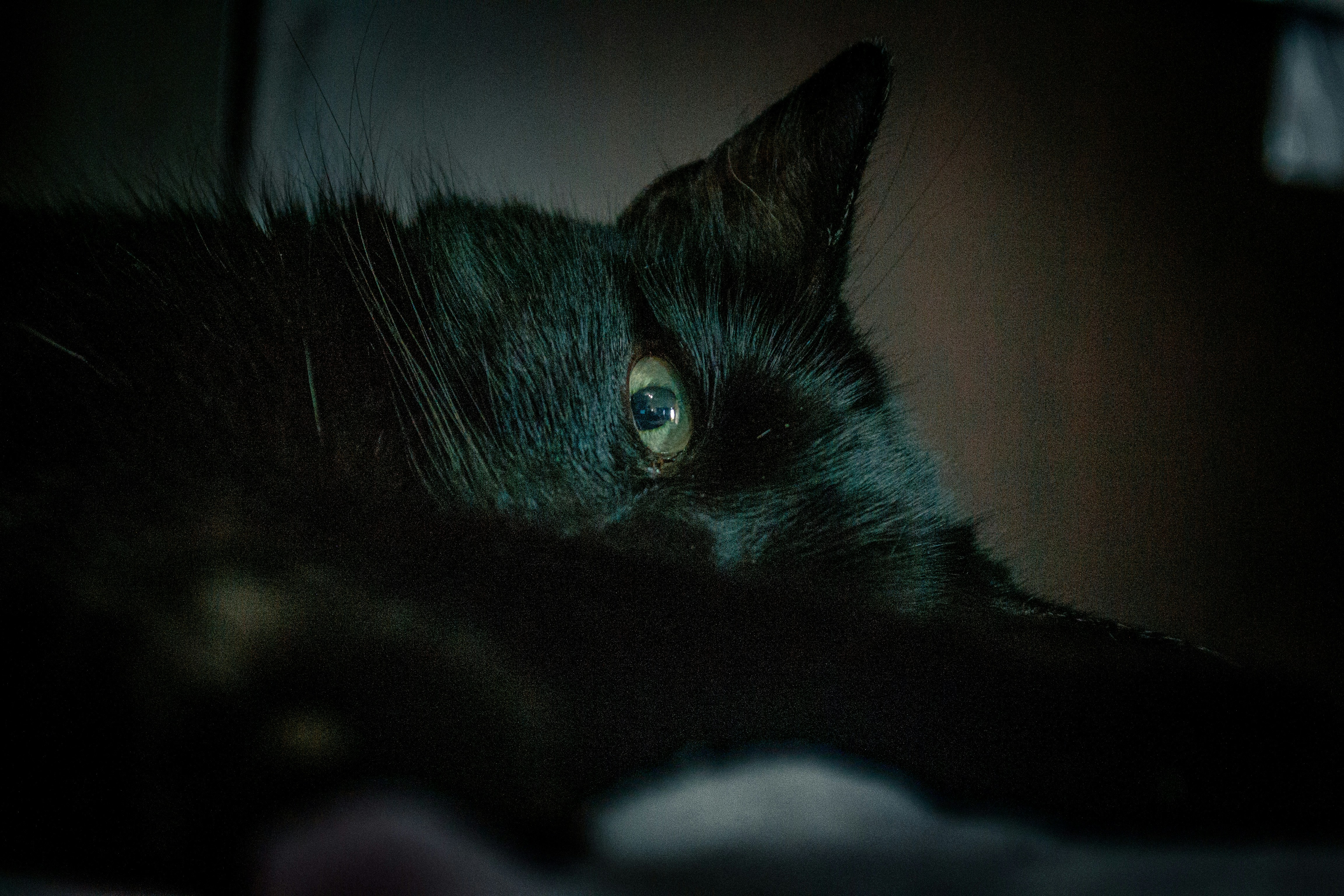 Photo by autisticphotographer2