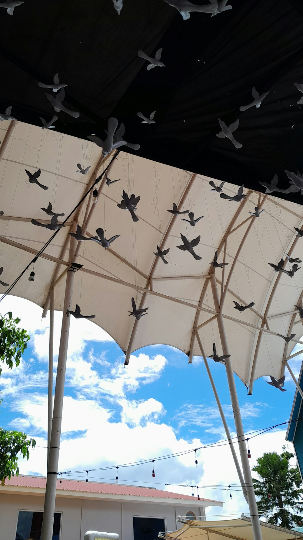 a group of umbrellas with birds on them
