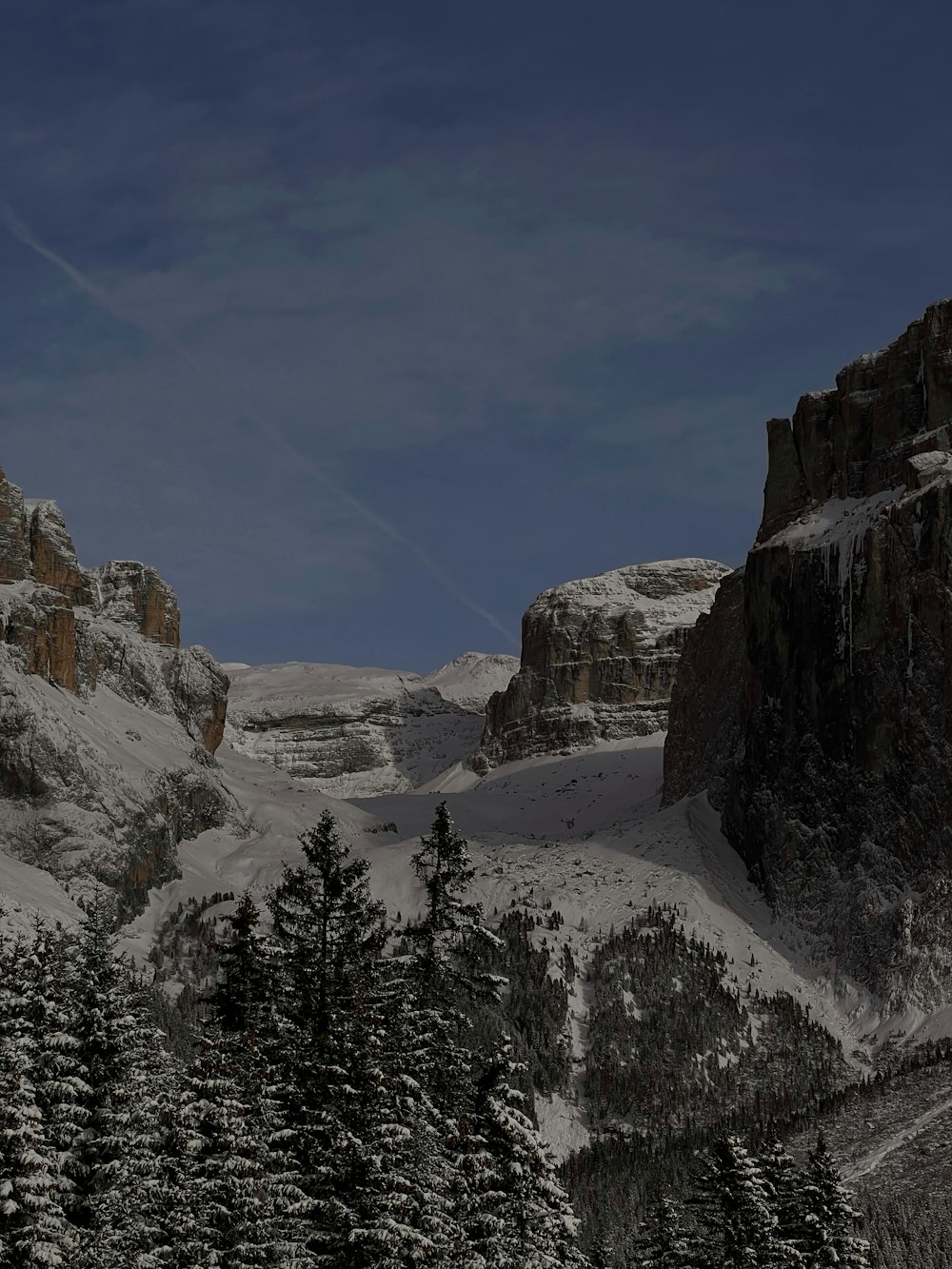 a snow covered mountain with trees in the foreground