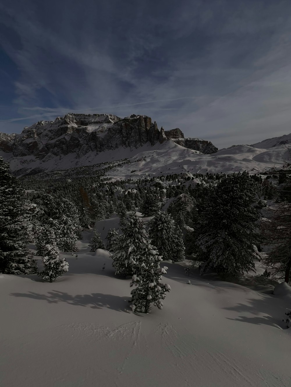 eine verschneite Landschaft mit Bäumen und Bergen im Hintergrund