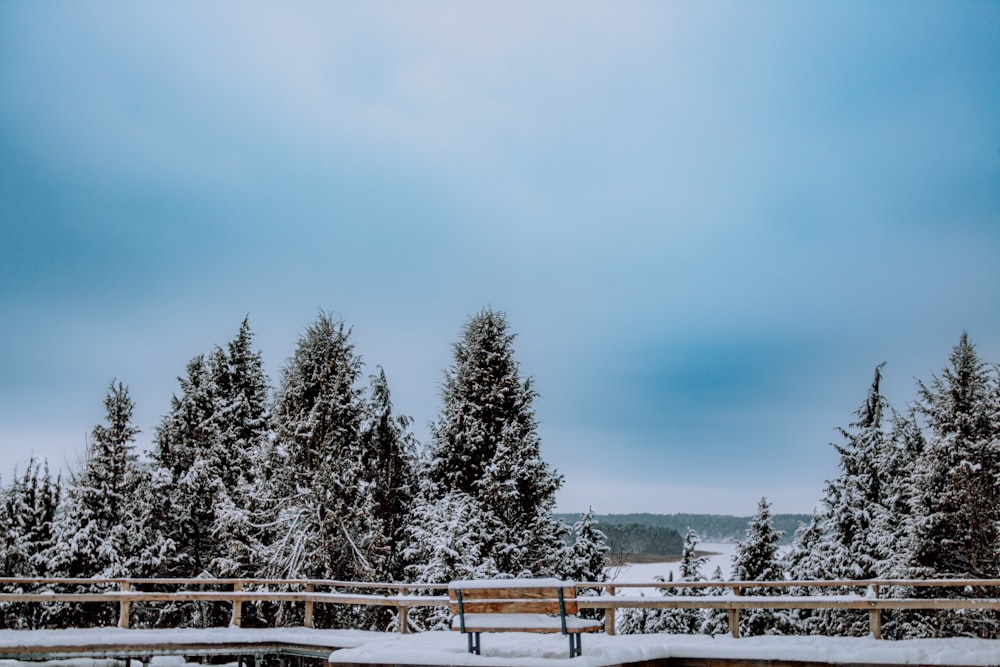 a wooden bench sitting in the middle of a snow covered forest