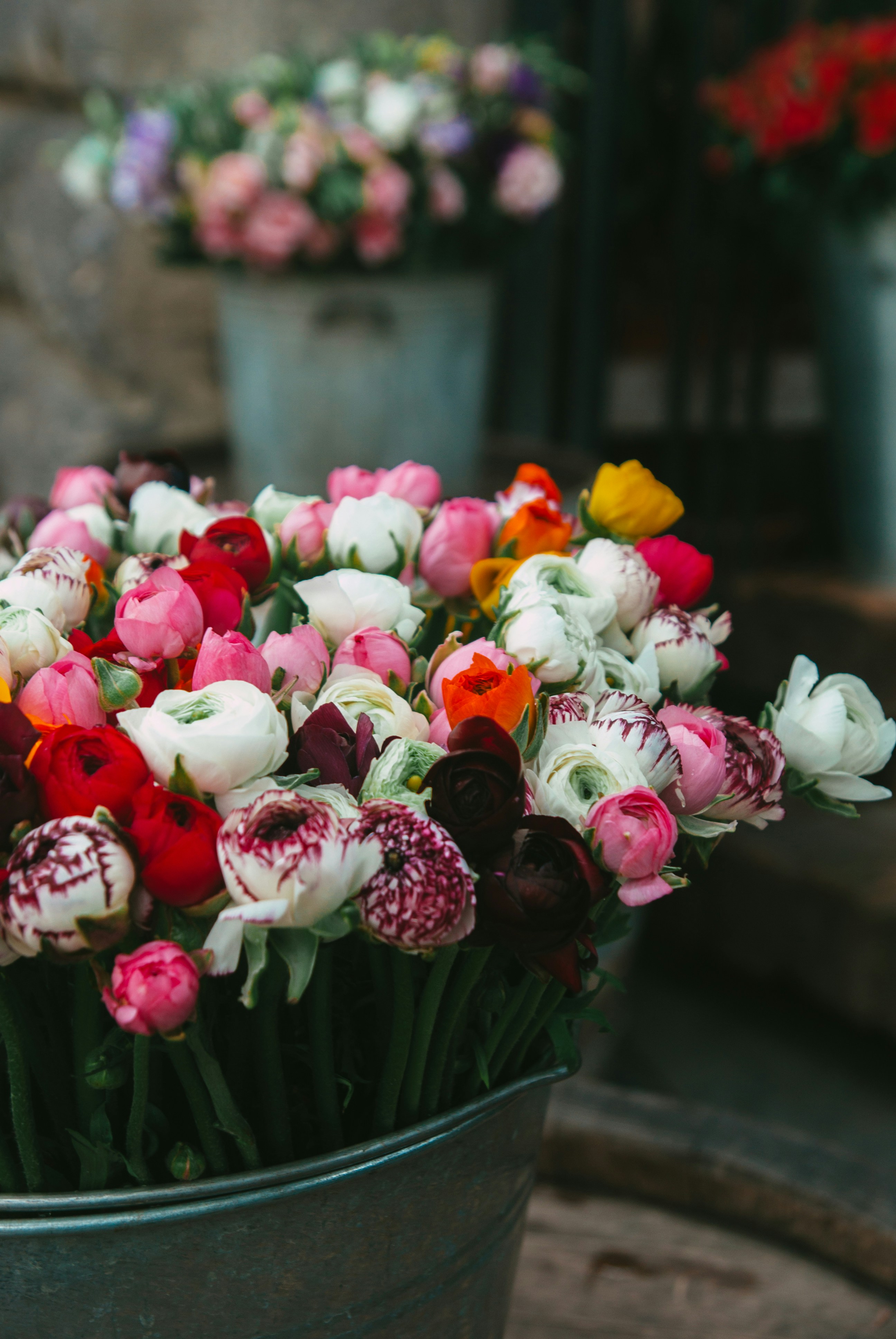 Photo by moonmoons_days