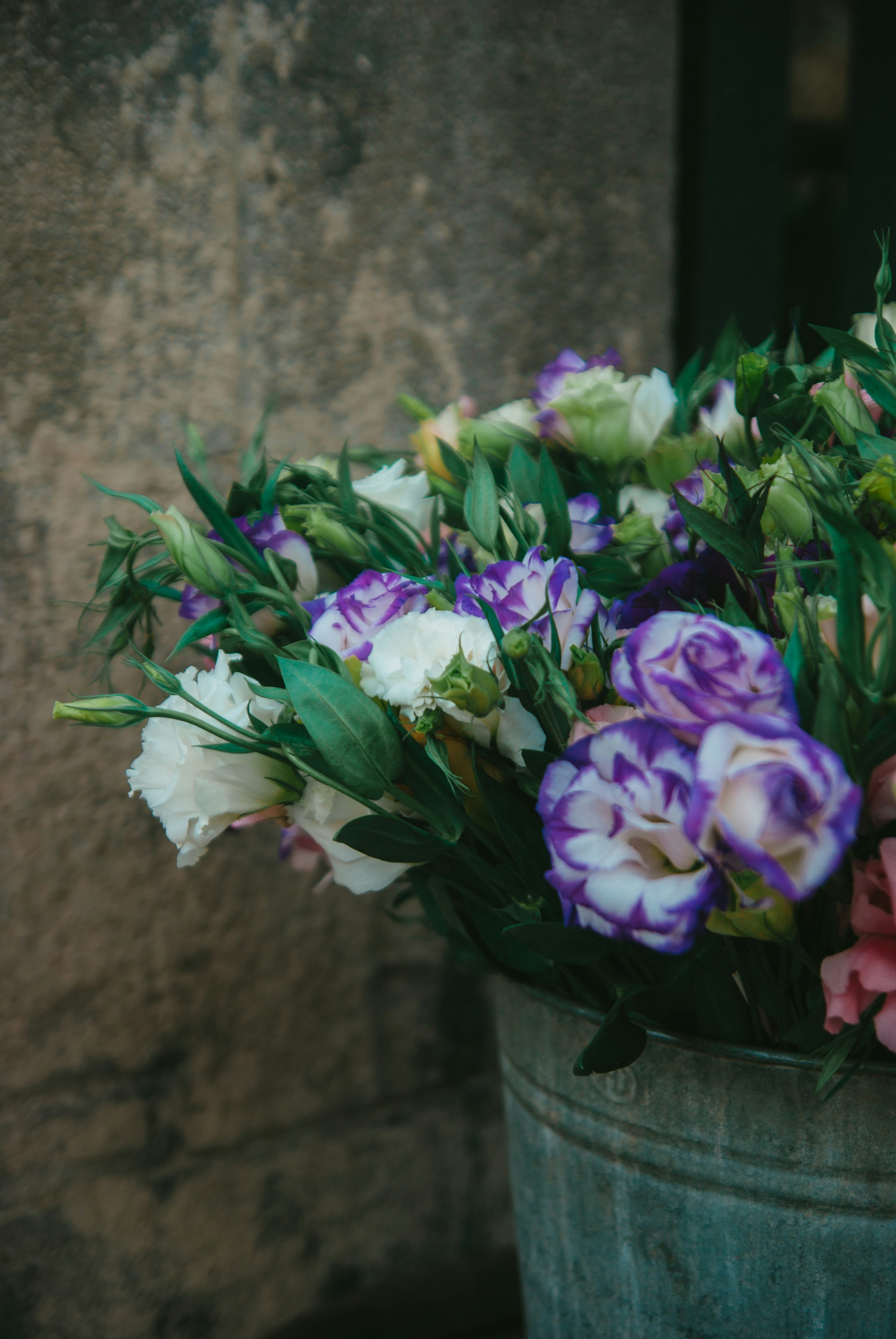 Photo by moonmoons_days