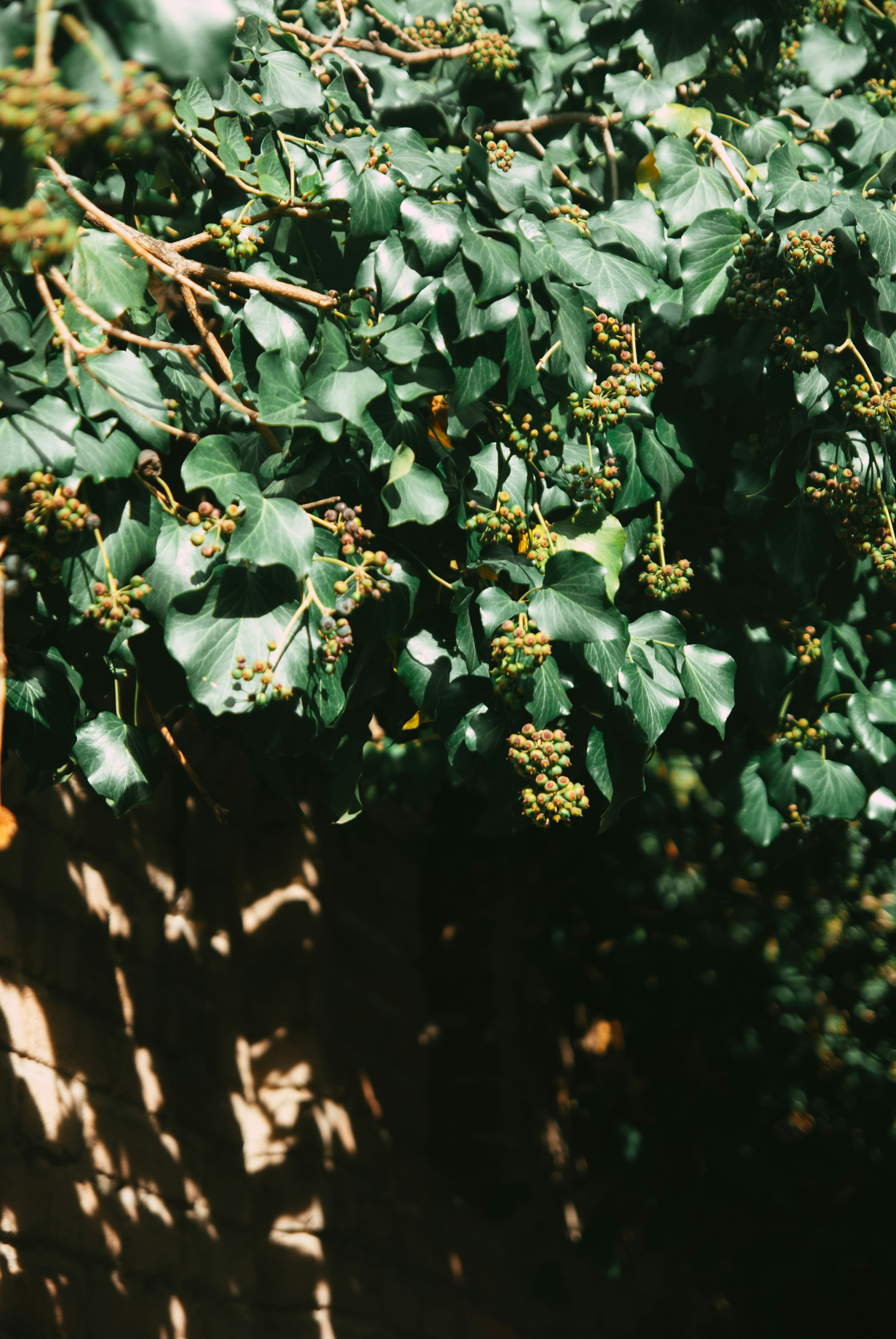 Photo by moonmoons_days