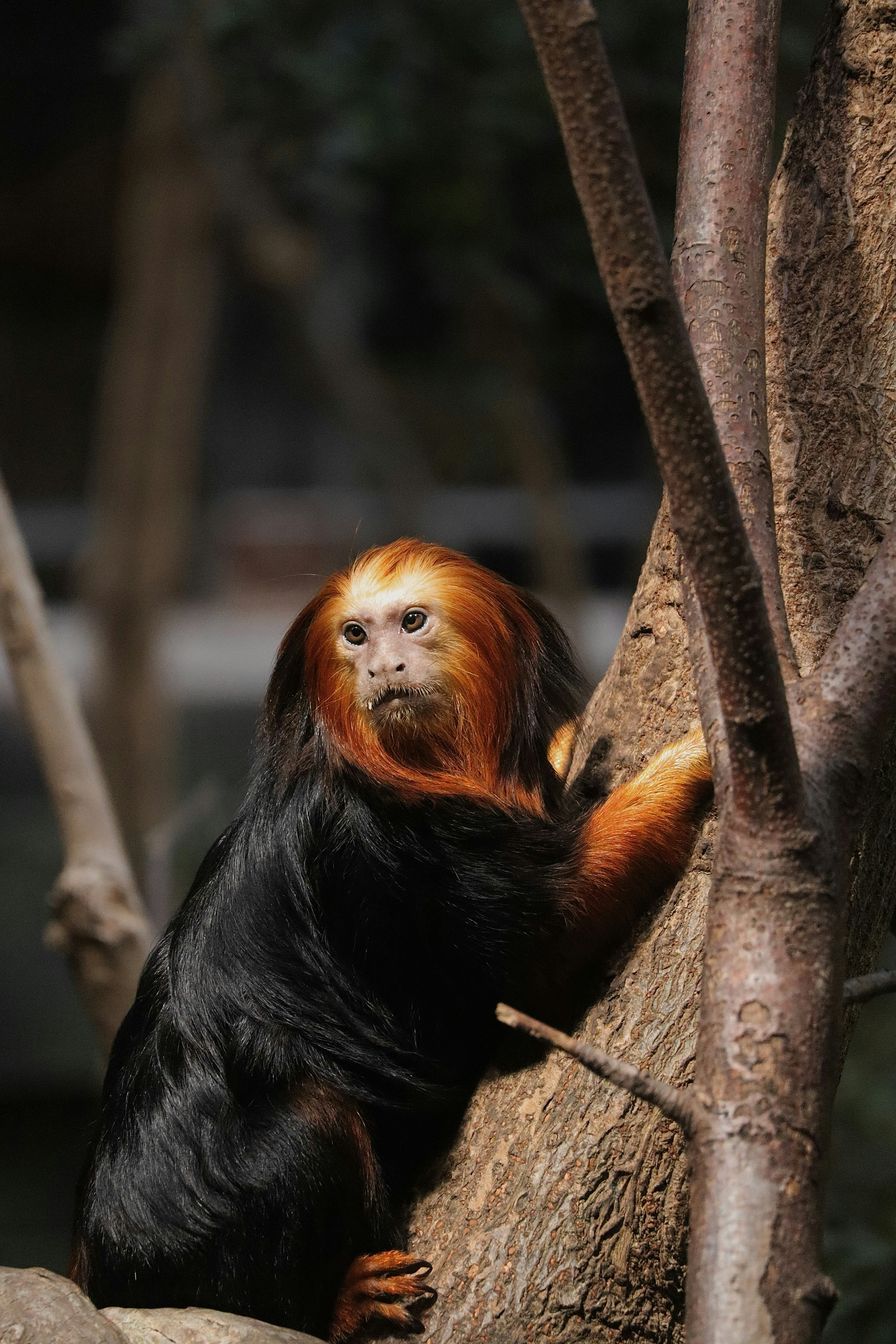 Photo by johnnygthorpe11