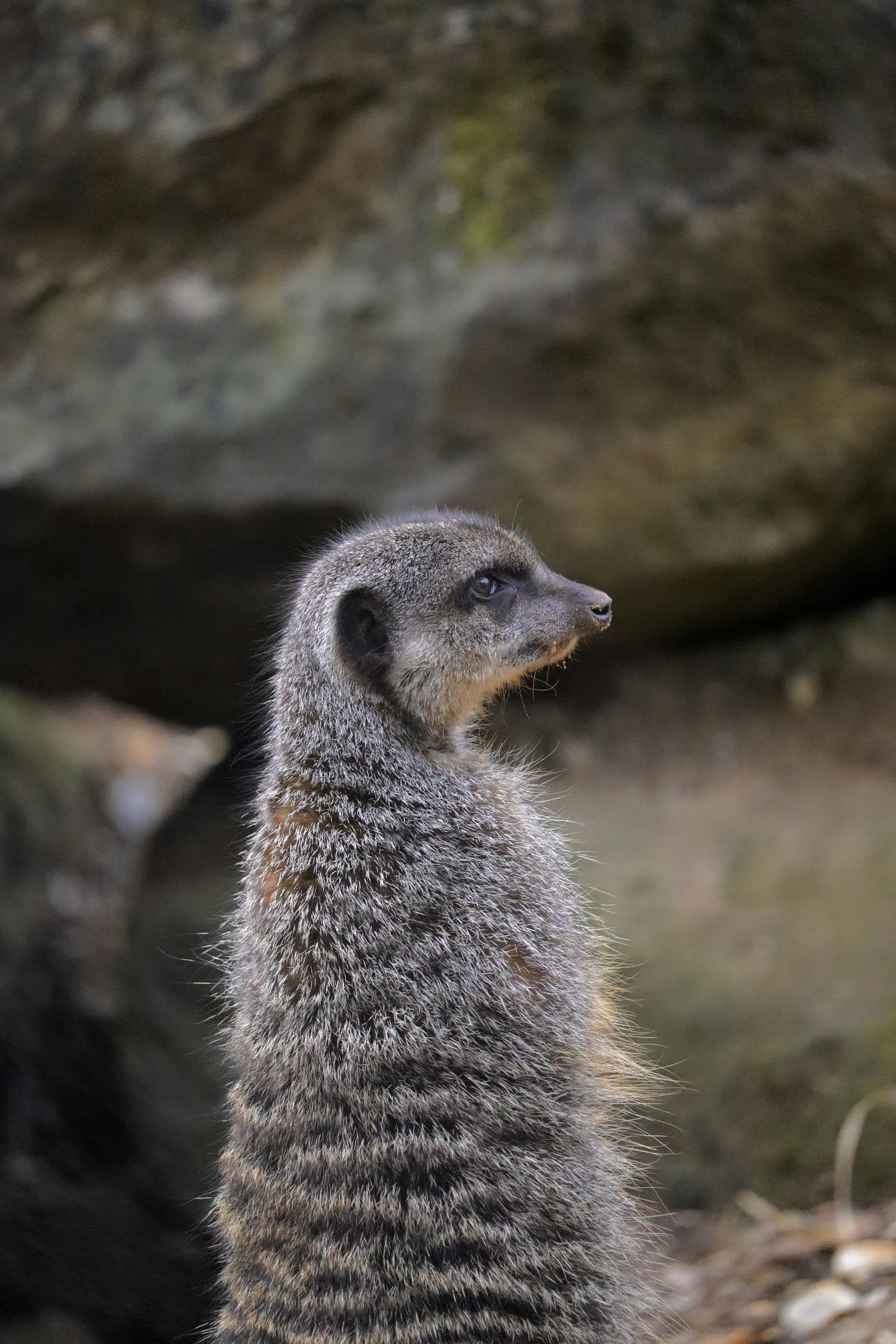 Photo by johnnygthorpe11