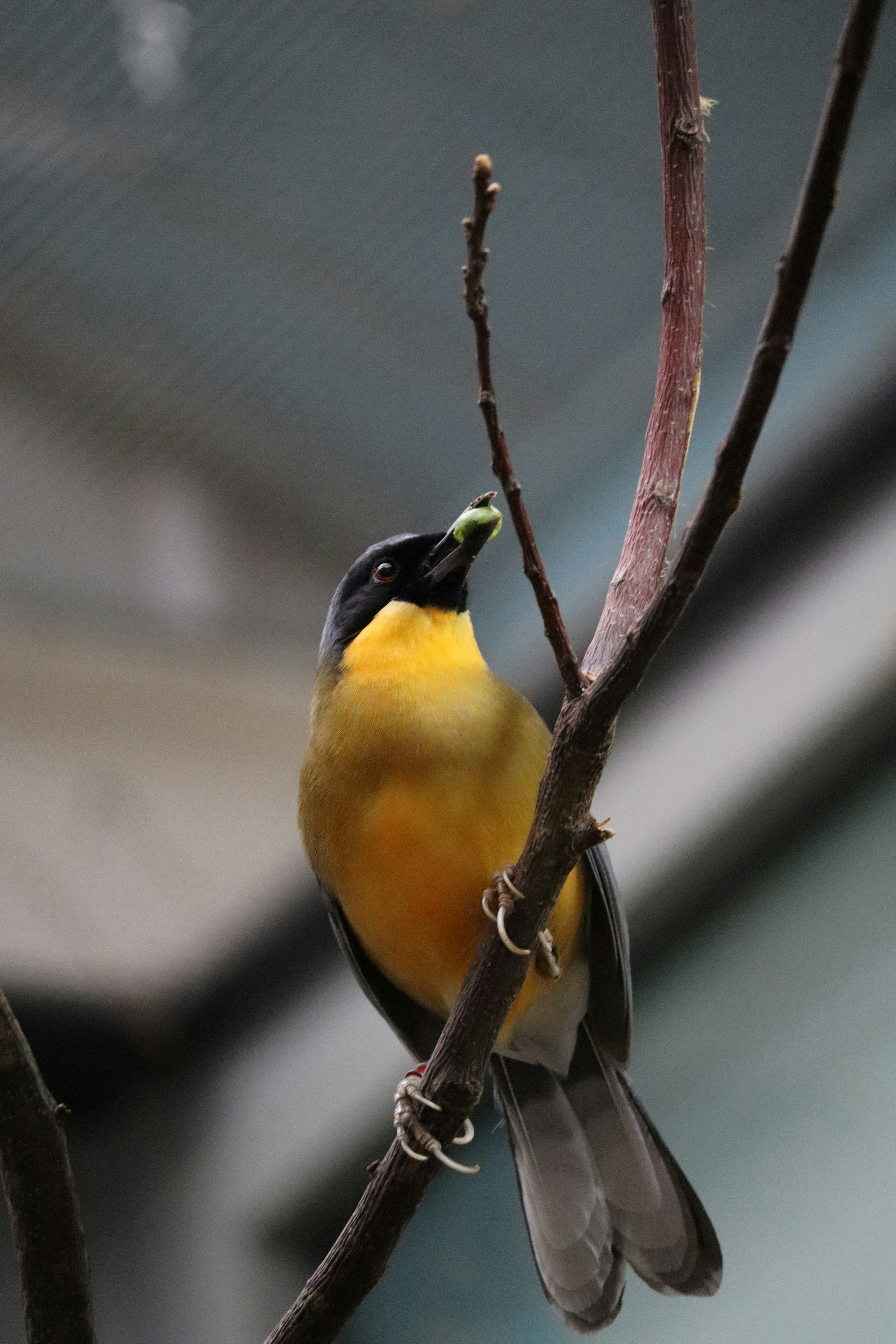 Photo by johnnygthorpe11