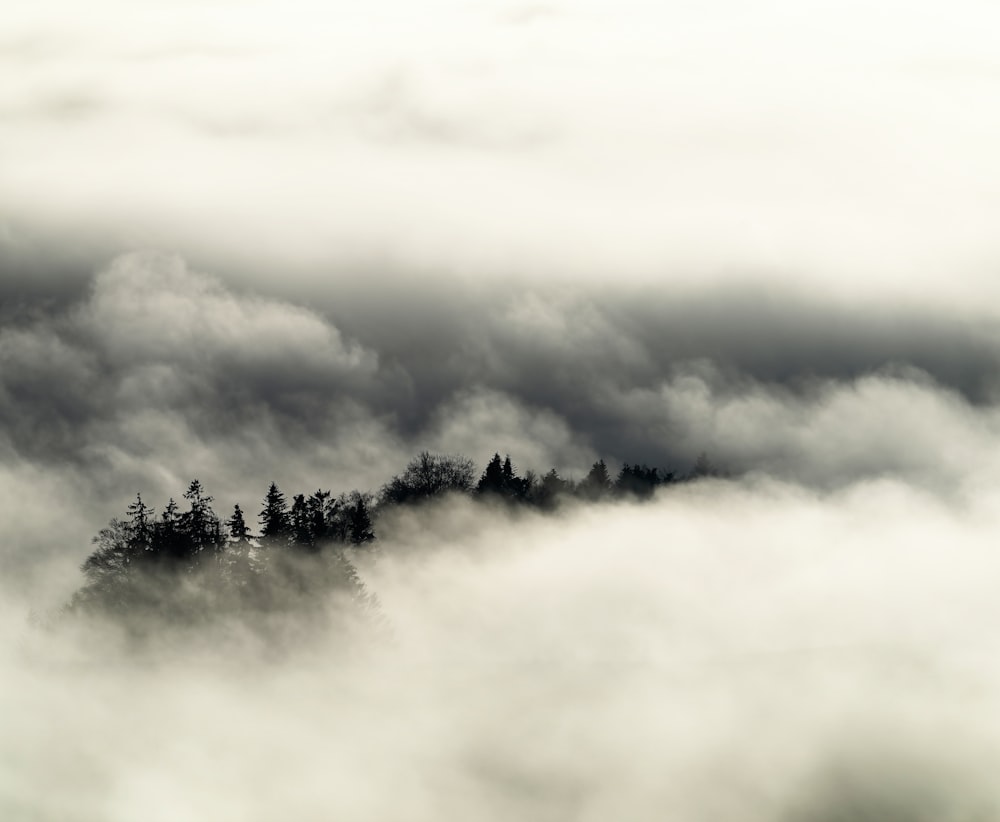 uma montanha coberta de nevoeiro com árvores ao longe