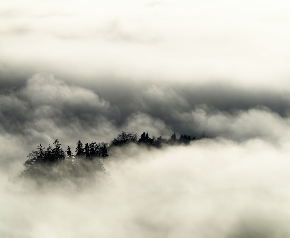 a mountain covered in fog with trees in the distance