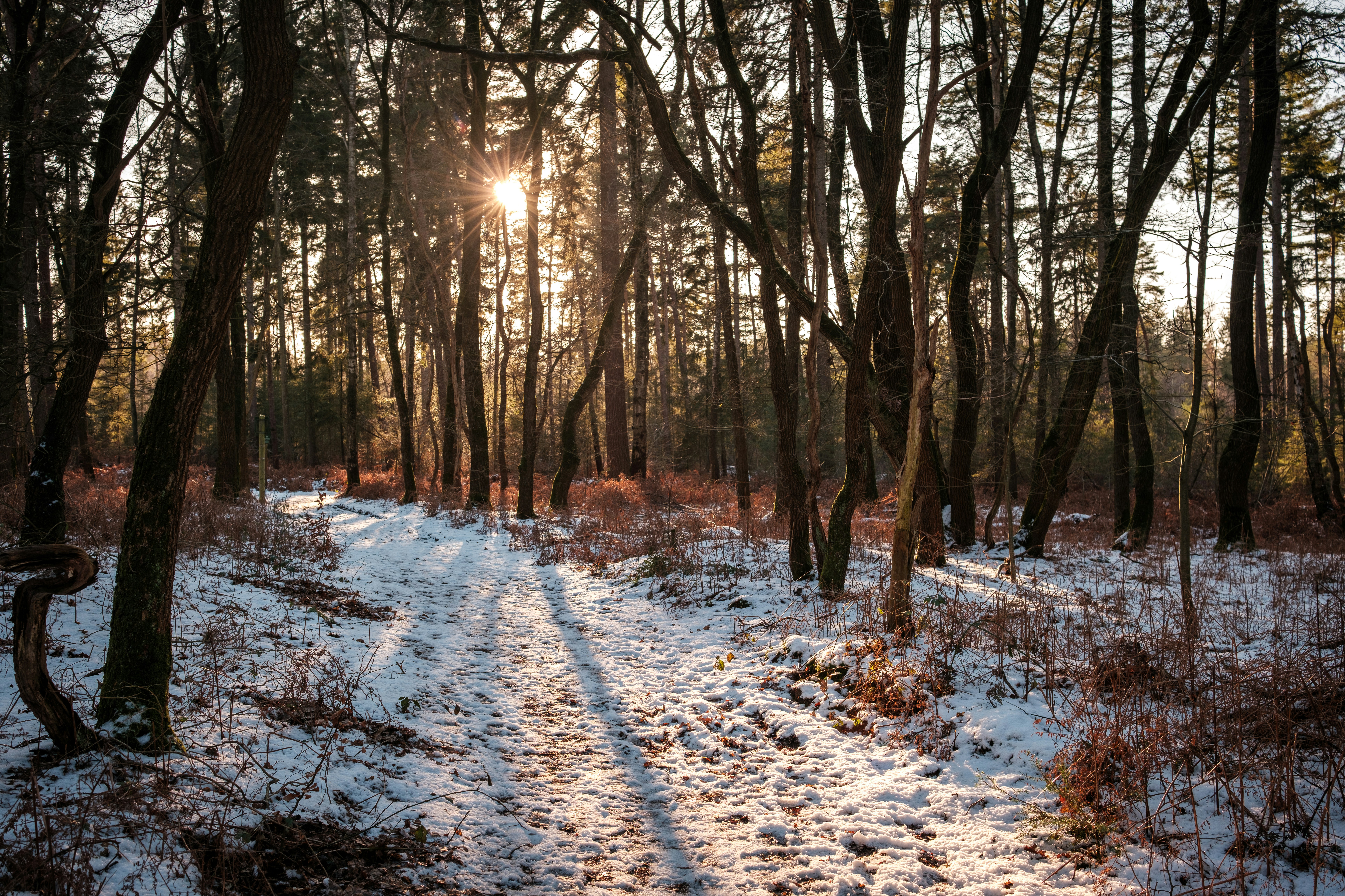 Photo by haberdoedas2