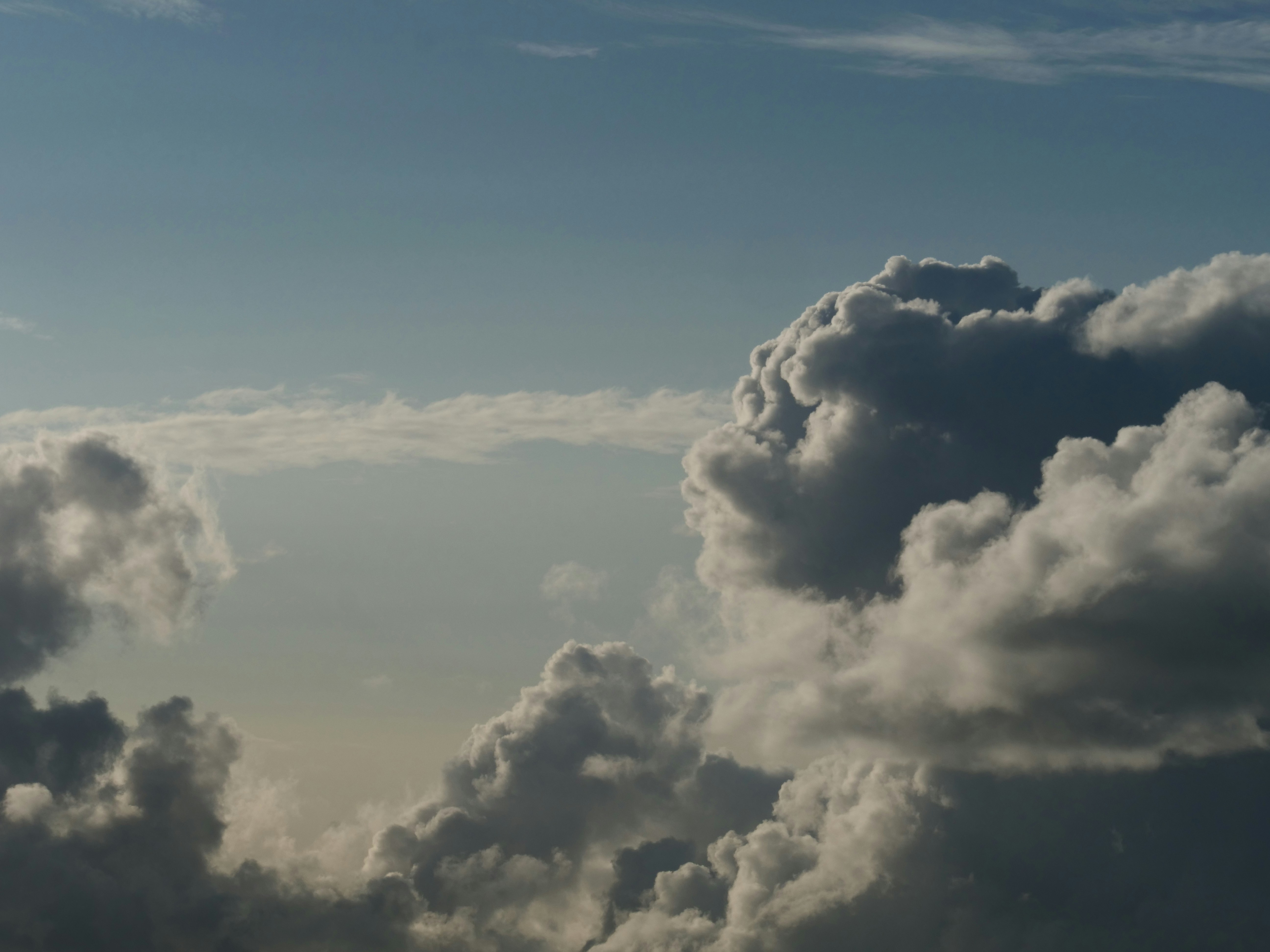 Photo by nimbus_vulpis