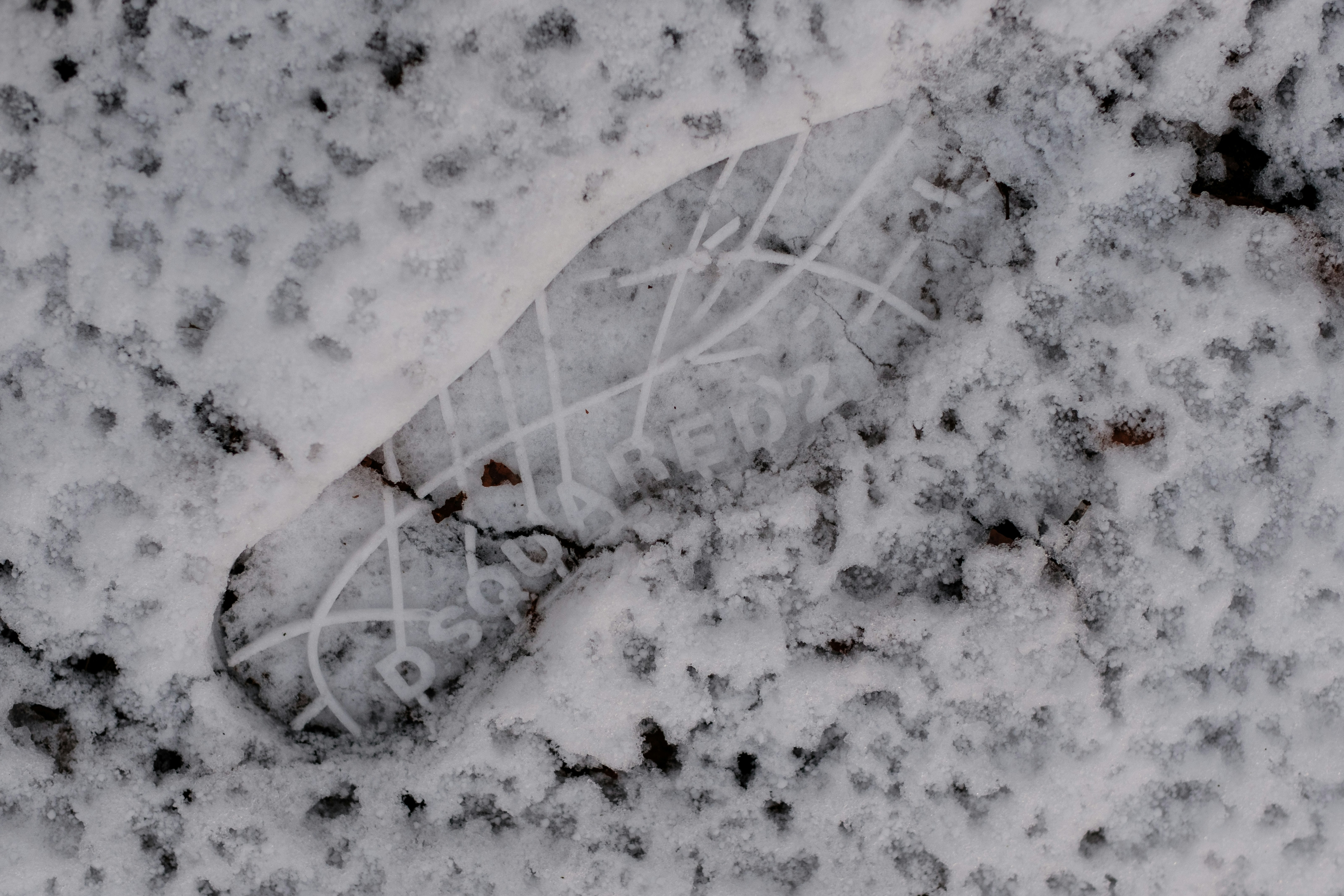 Photo by haberdoedas2