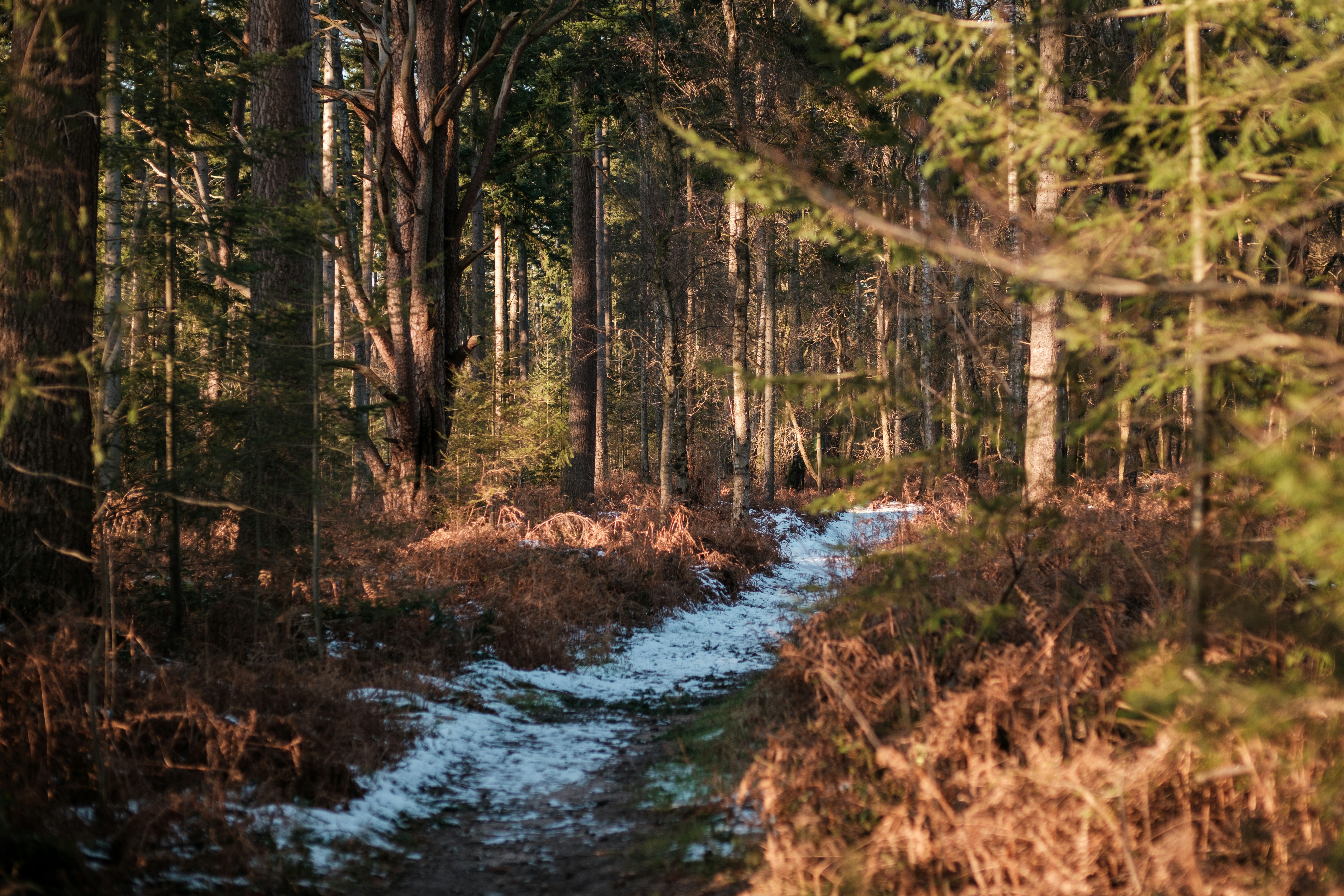 Photo by haberdoedas2