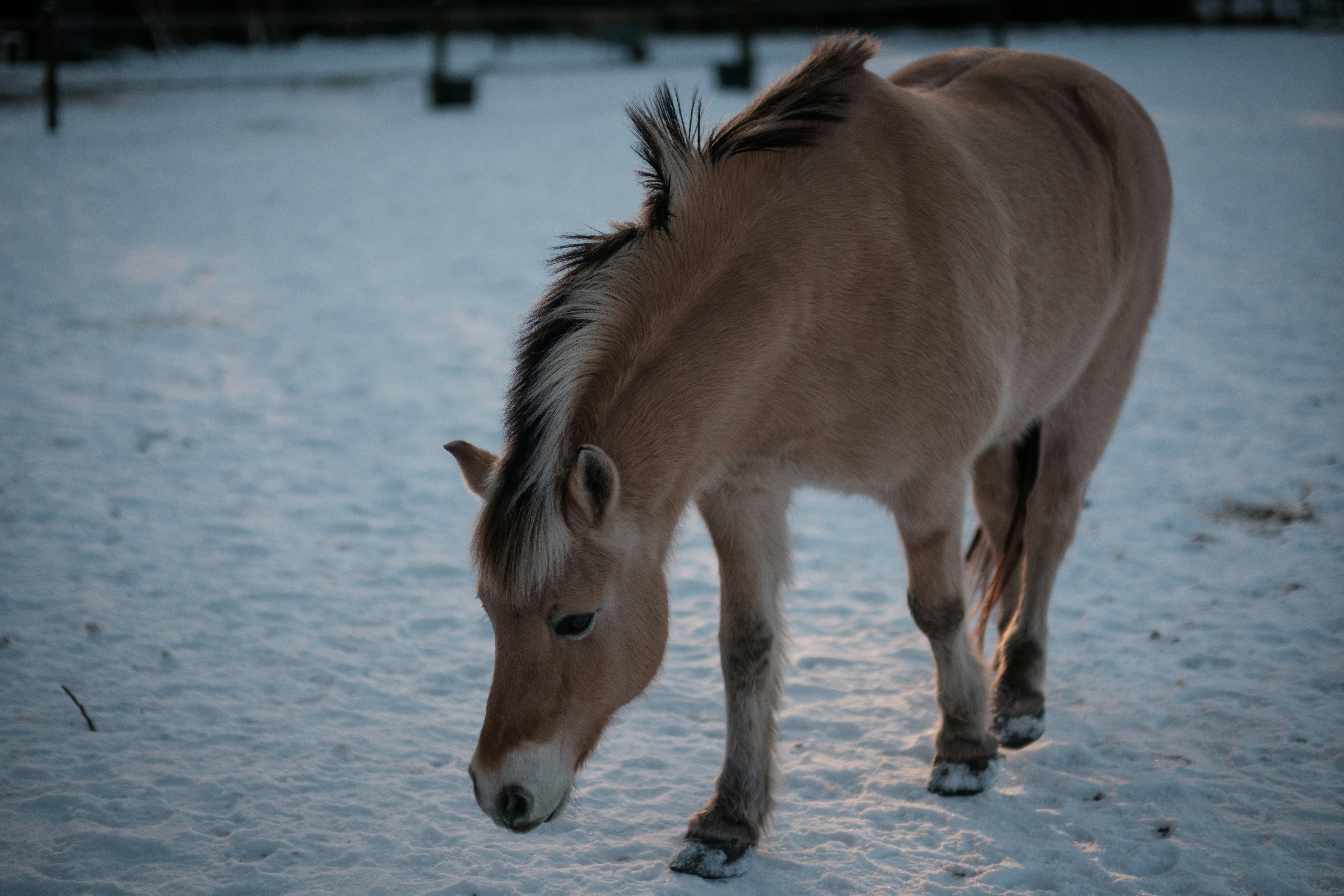 Photo by haberdoedas2