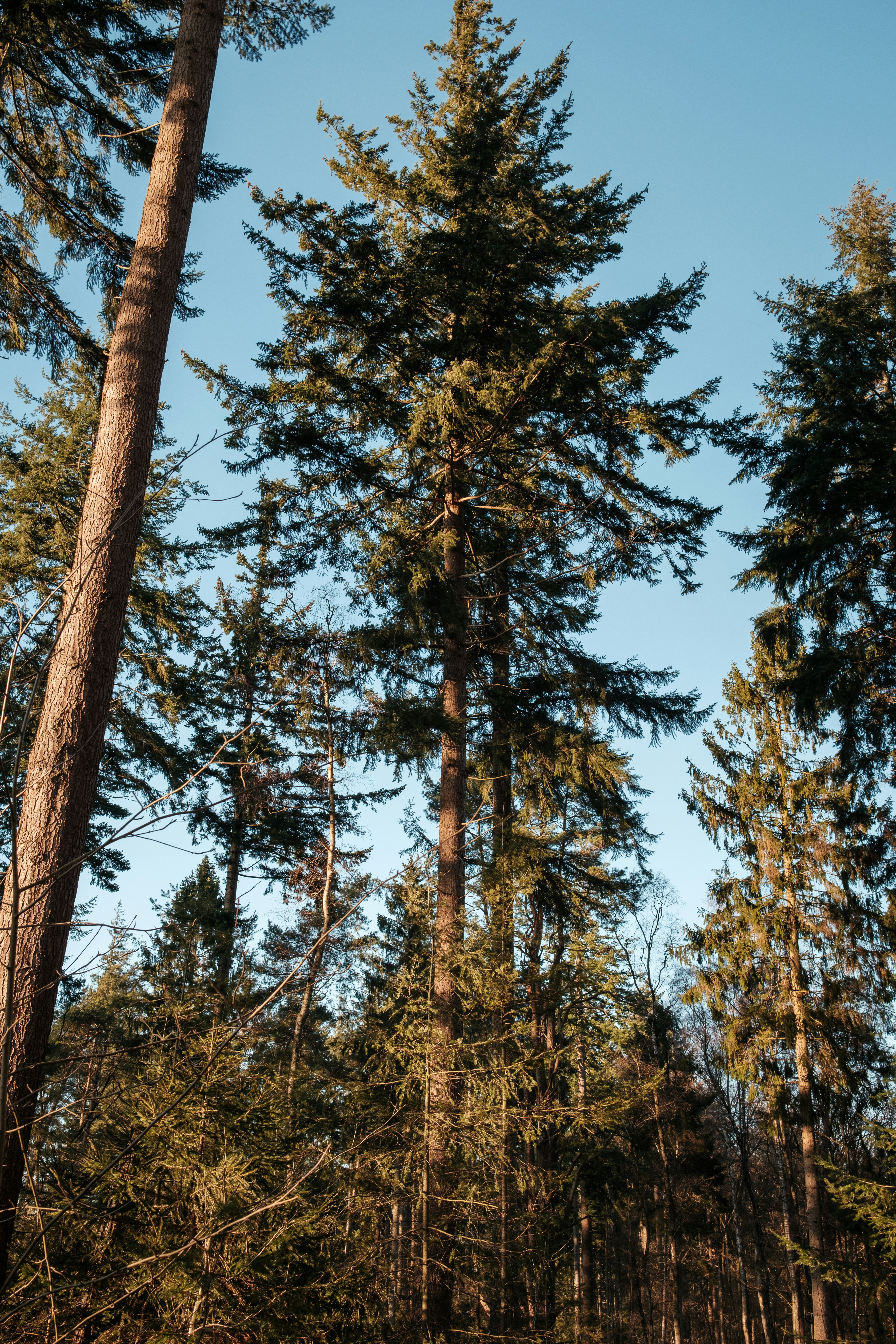 Photo by haberdoedas2