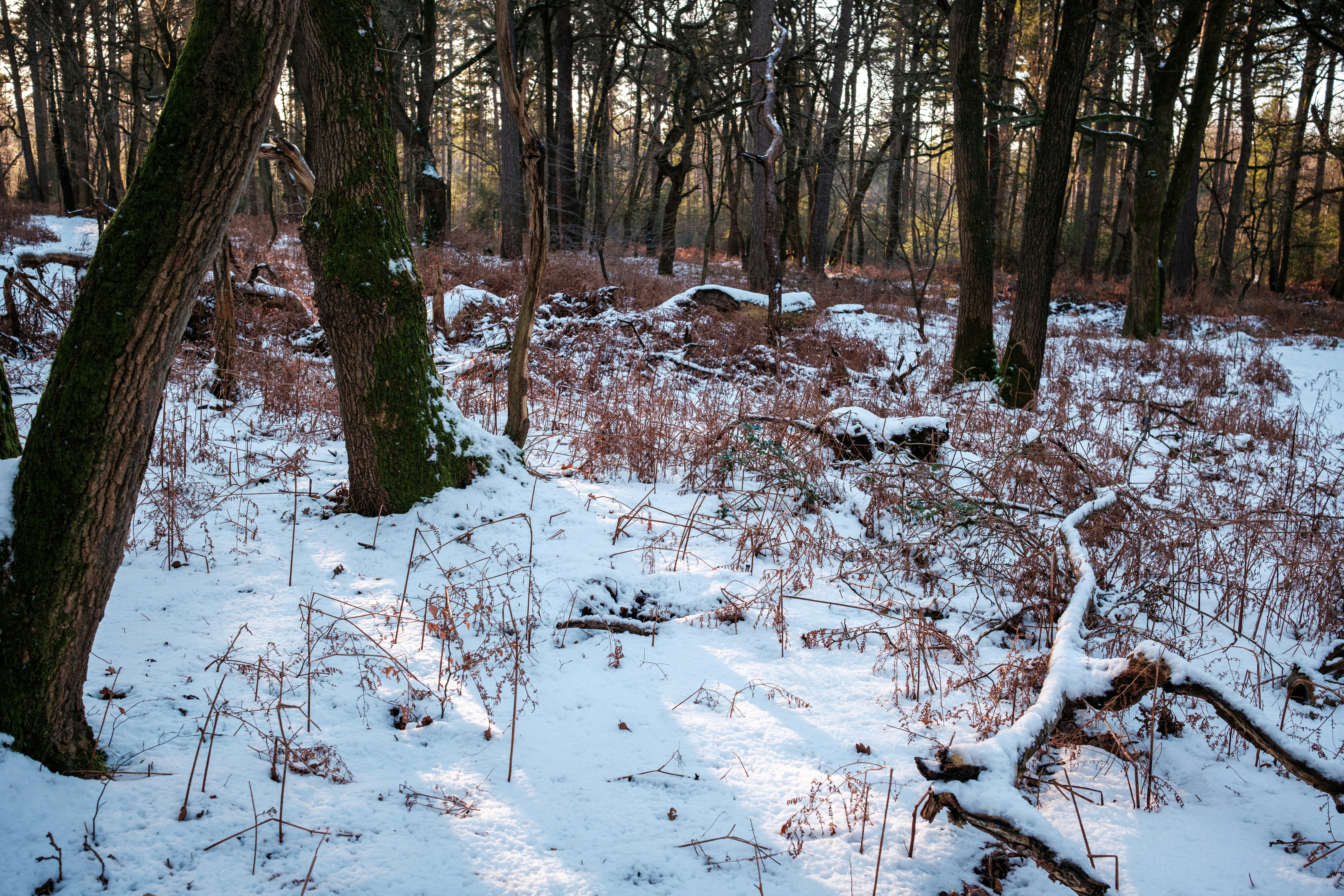 Photo by haberdoedas2