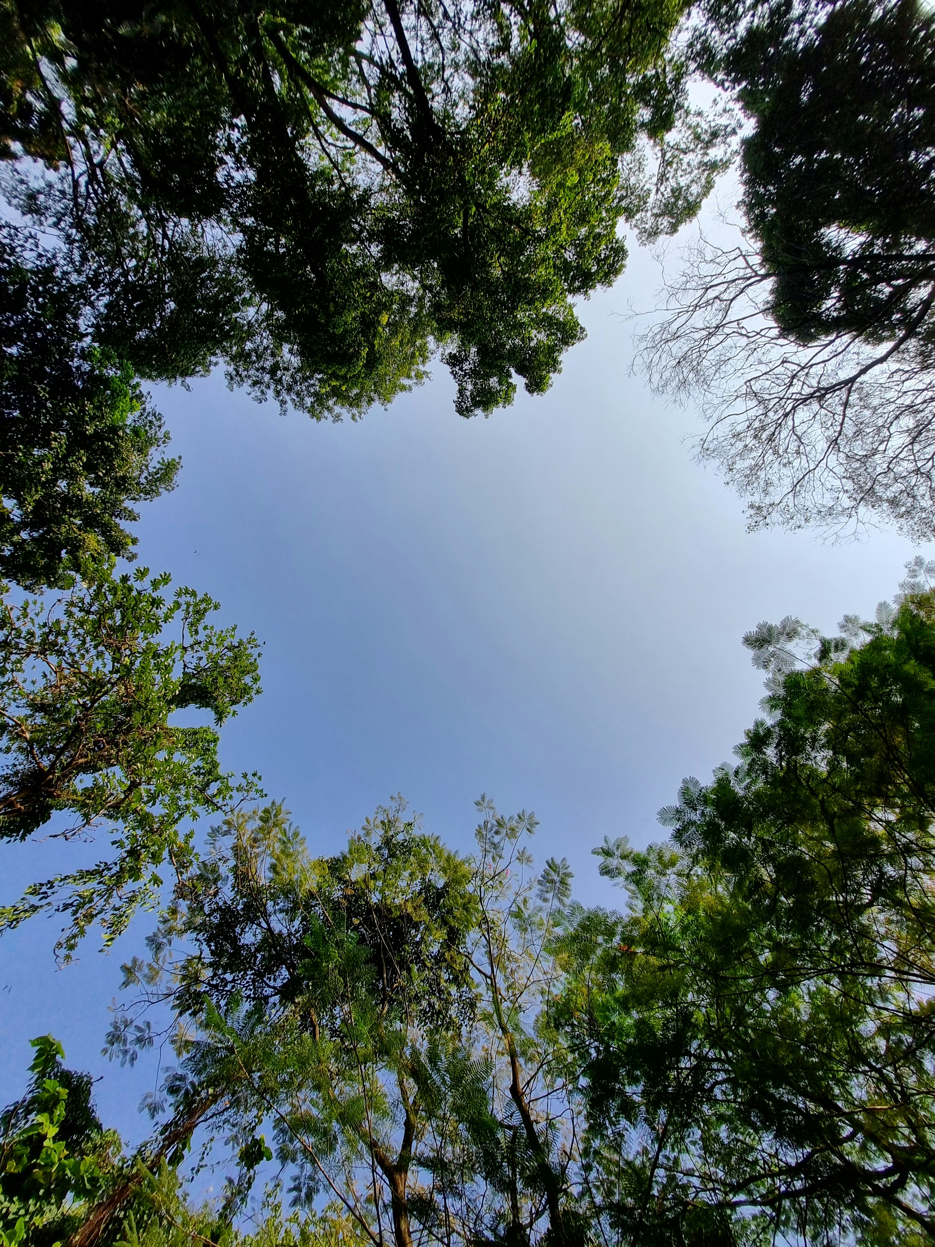 Photo by auditfighter95