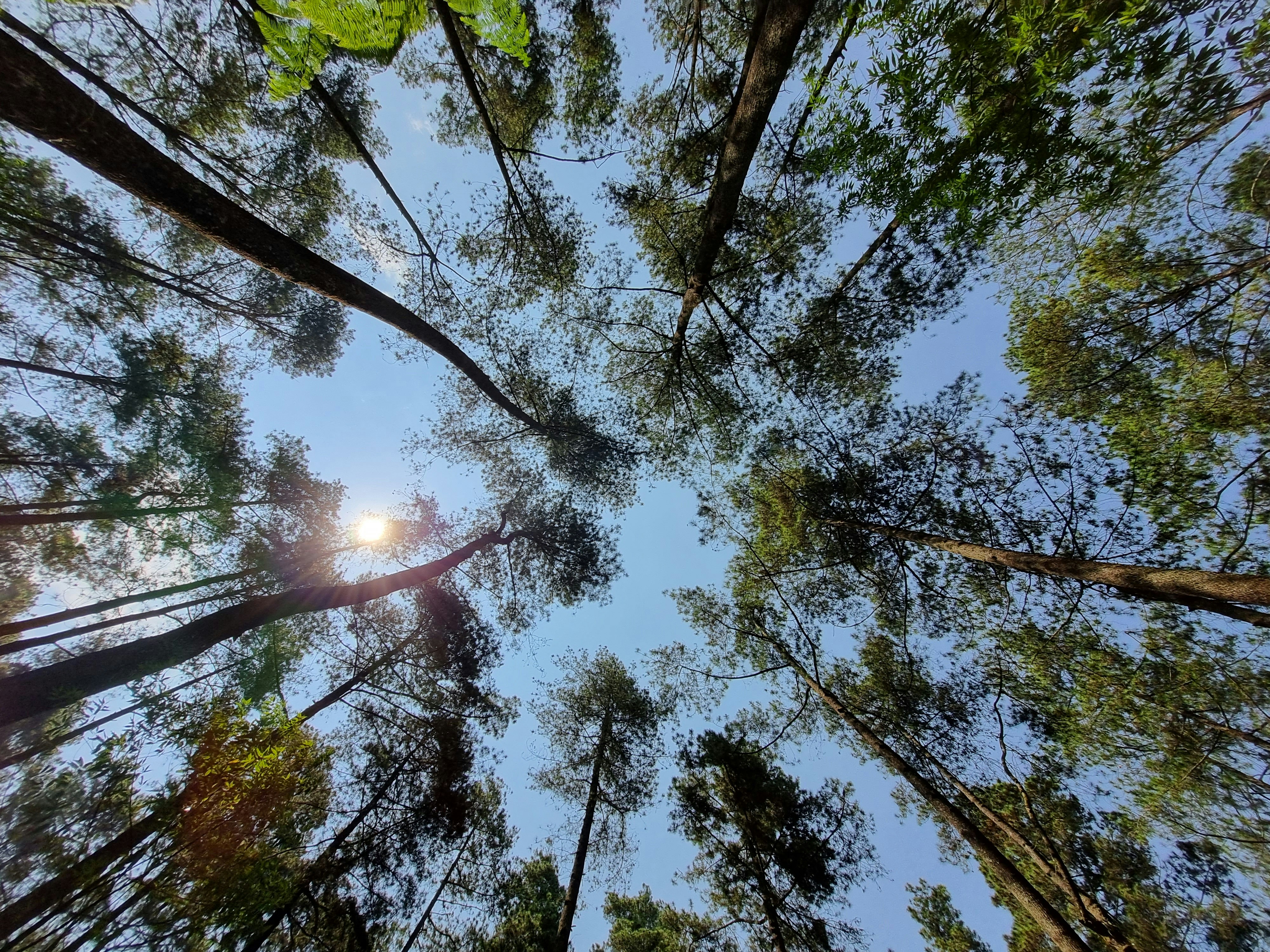 Photo by auditfighter95