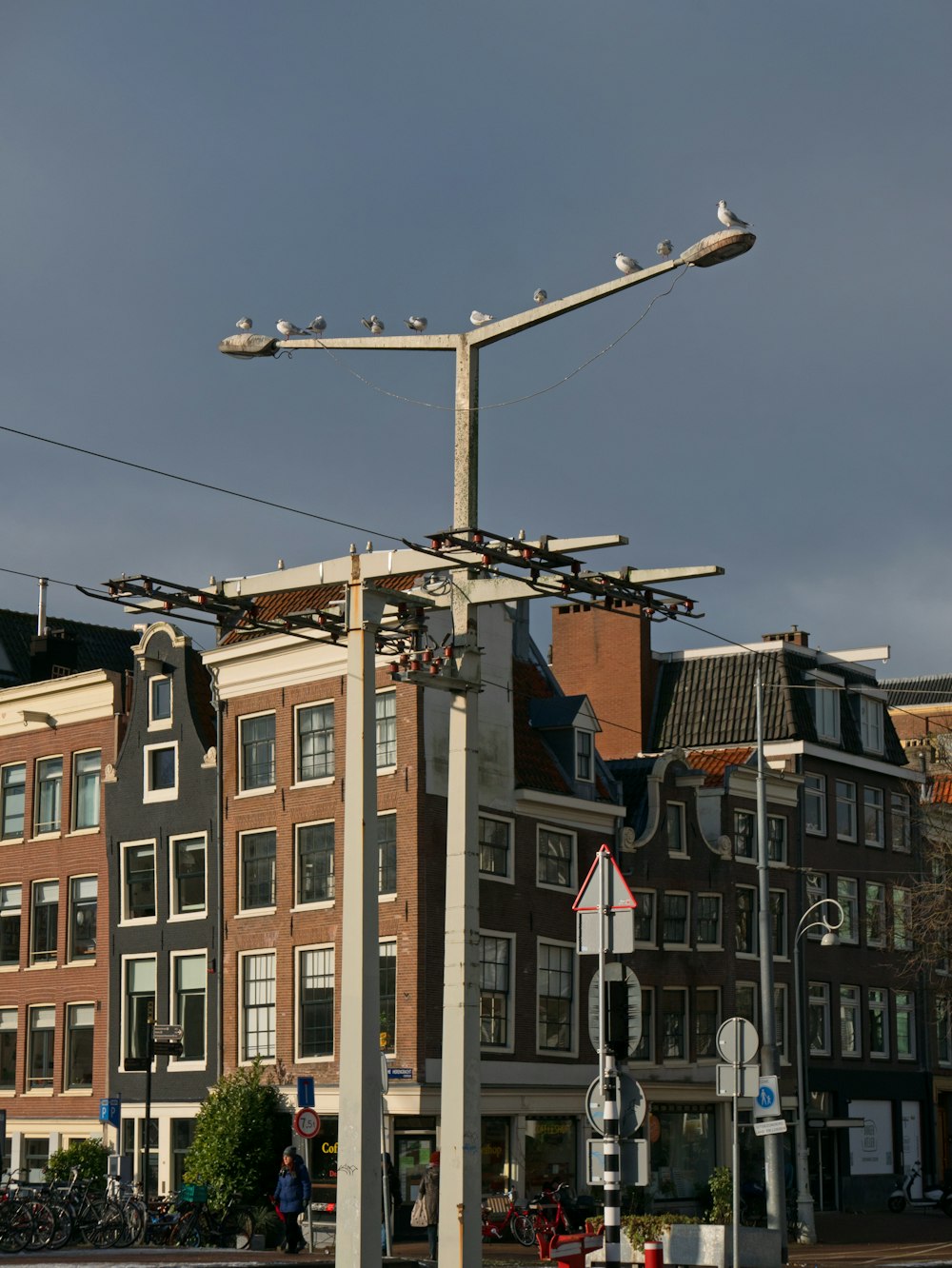 a pole with a bunch of birds sitting on top of it