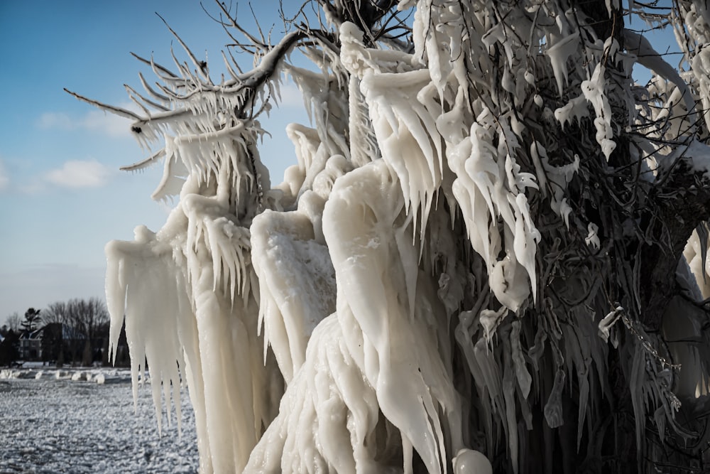 un gruppo di sculture di ghiaccio appese ad un albero