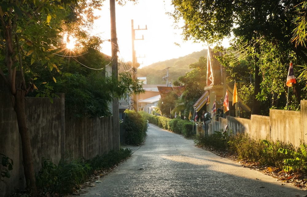 a street with a fence and trees on both sides of it