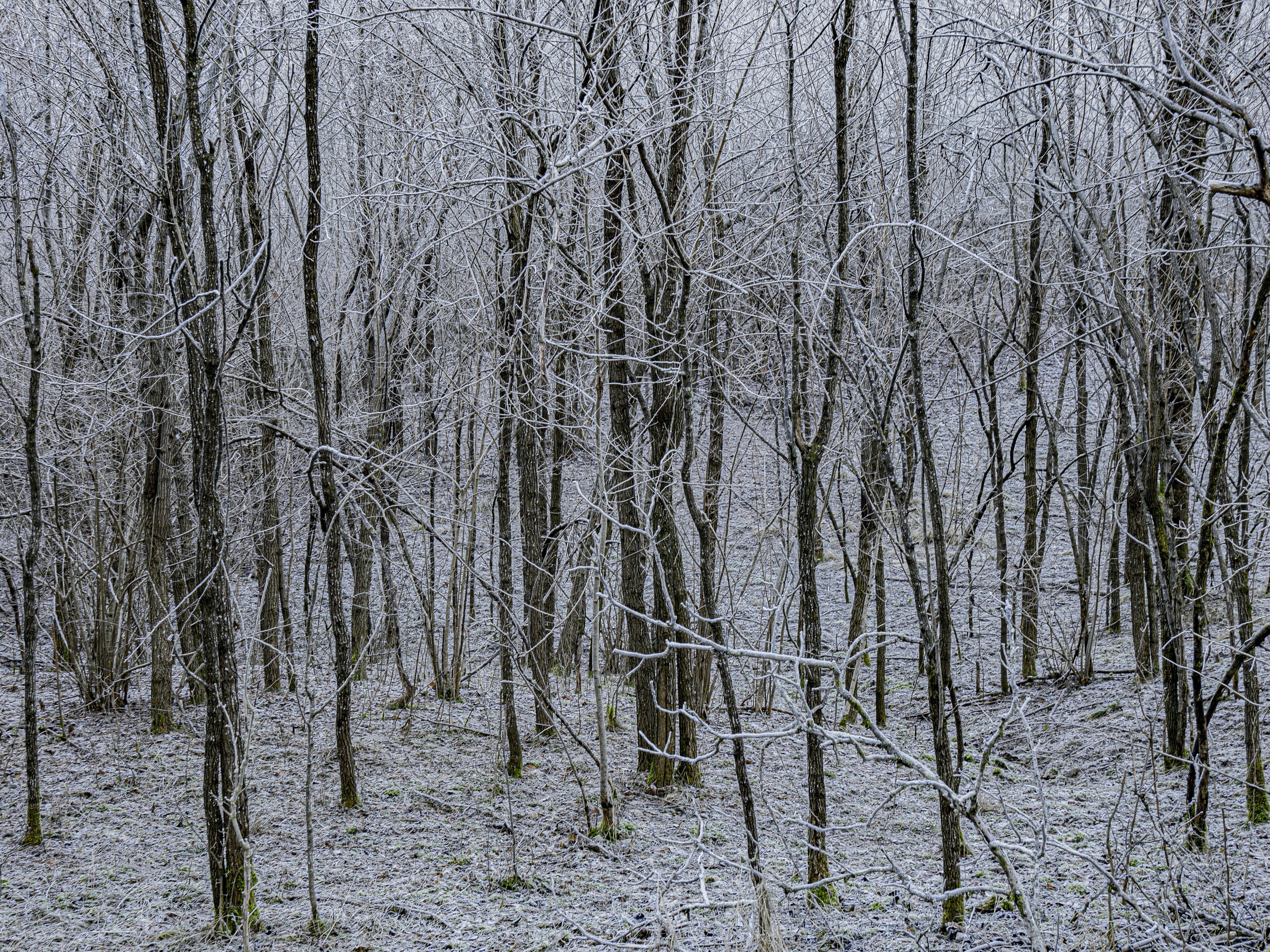 Photo by gopitri_prem