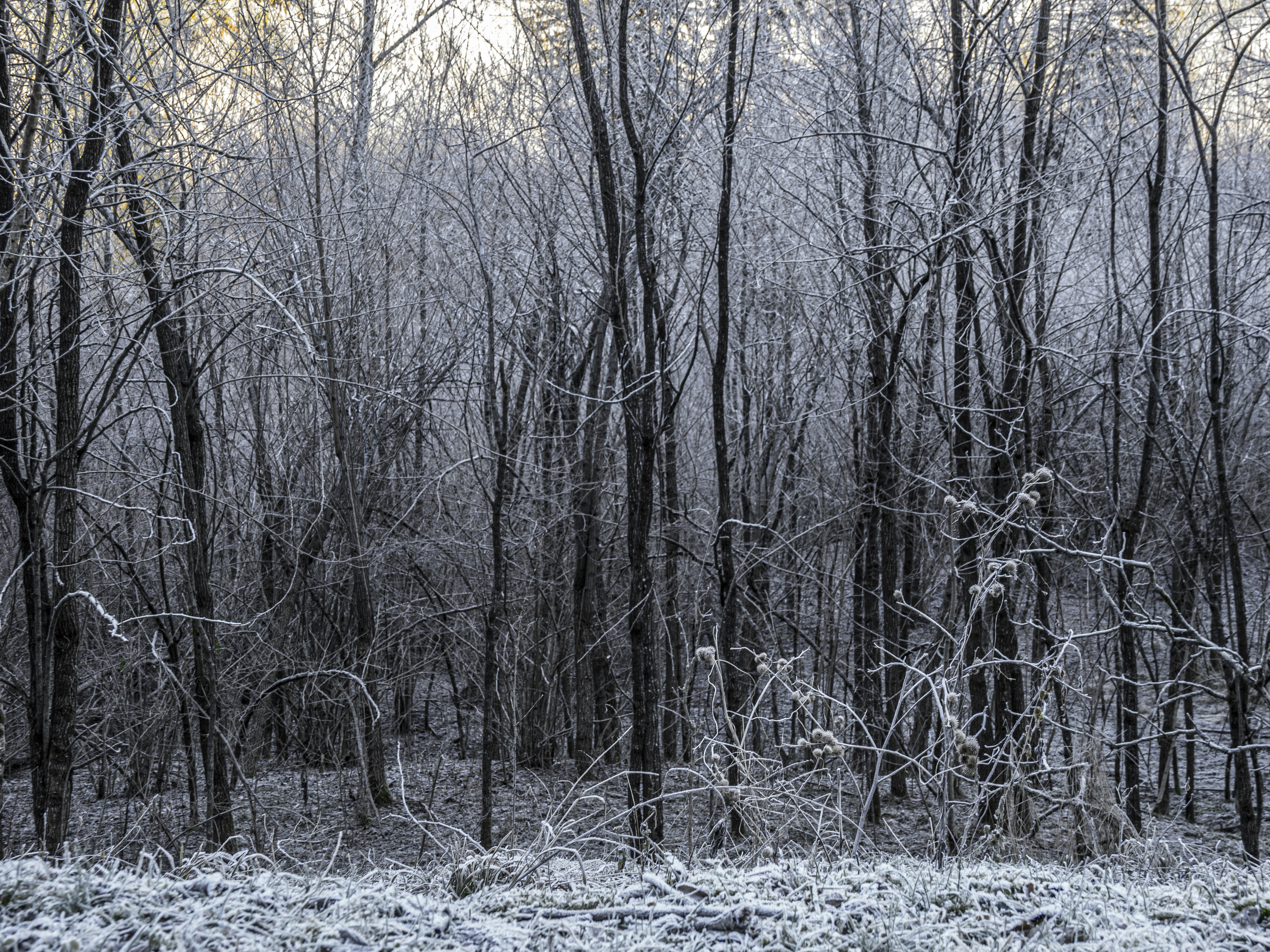 Photo by gopitri_prem