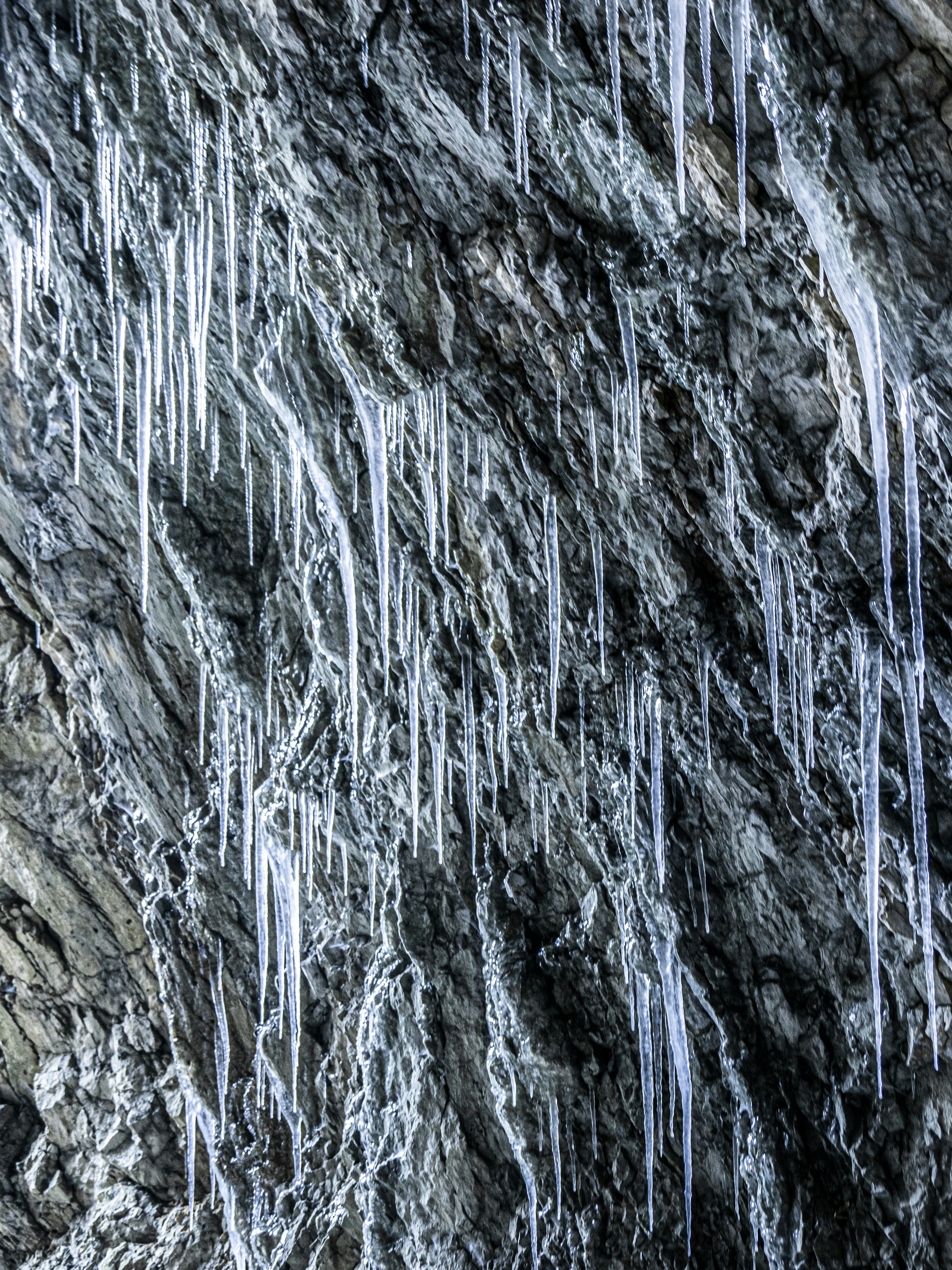 Photo by gopitri_prem