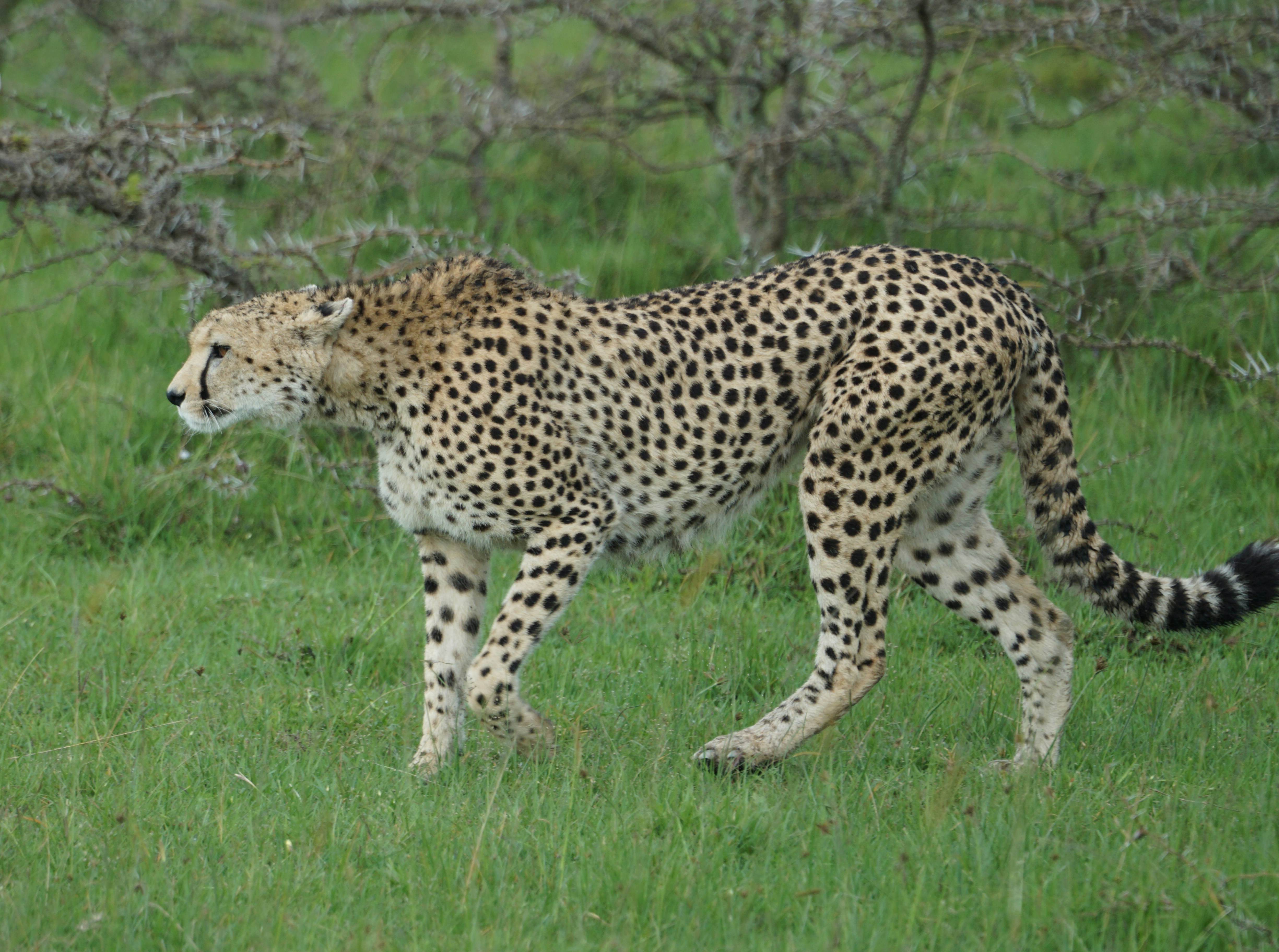 The Art of Disappearing (image credits: unsplash)