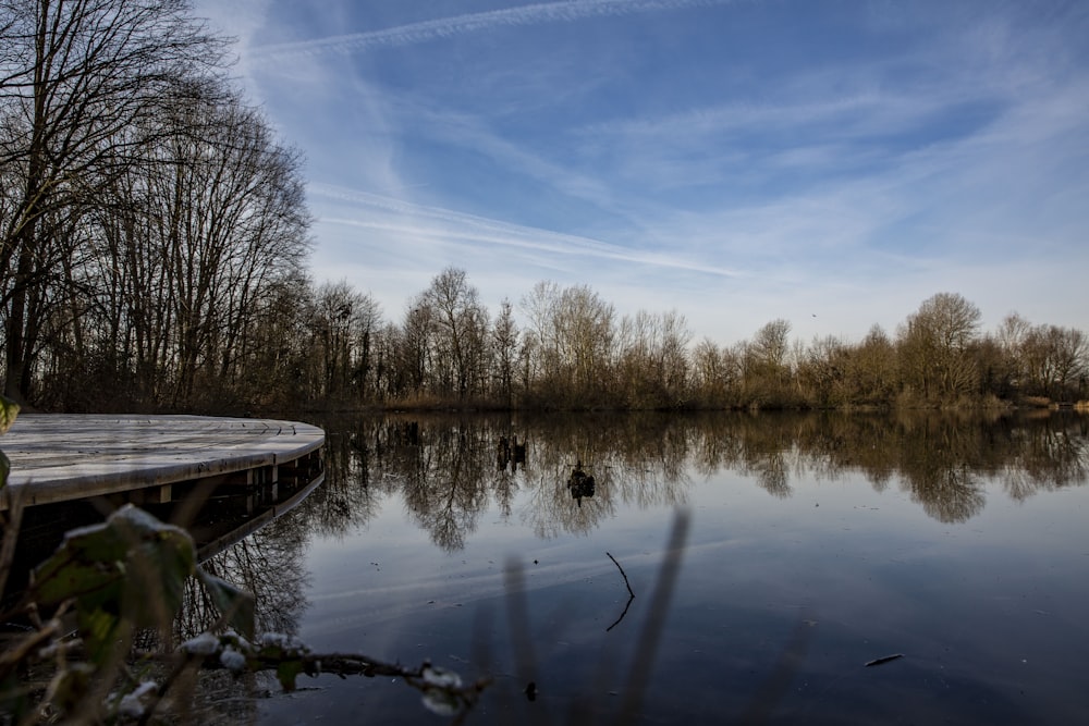 a large body of water surrounded by trees