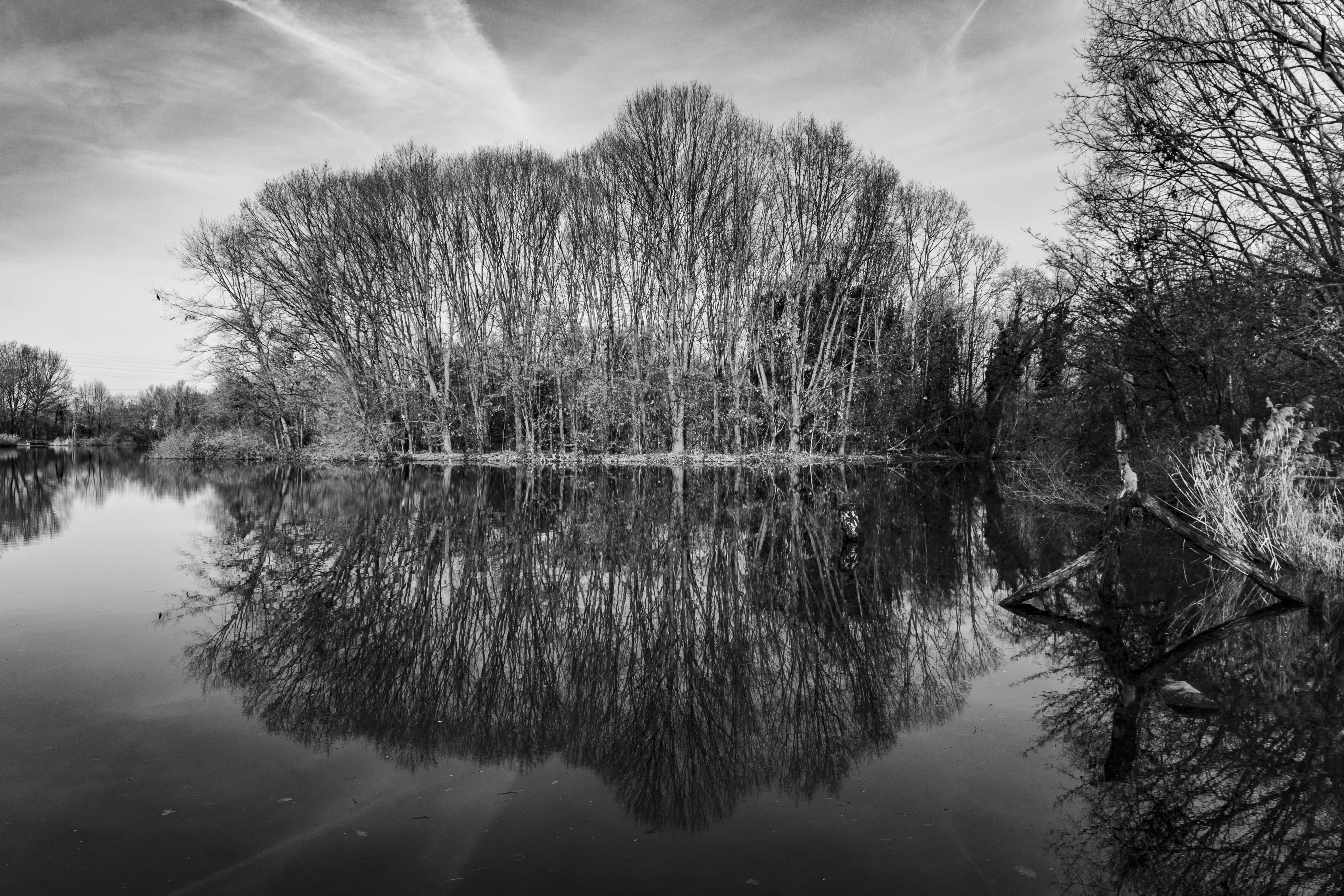 Photo by marcogiuseppetimelli