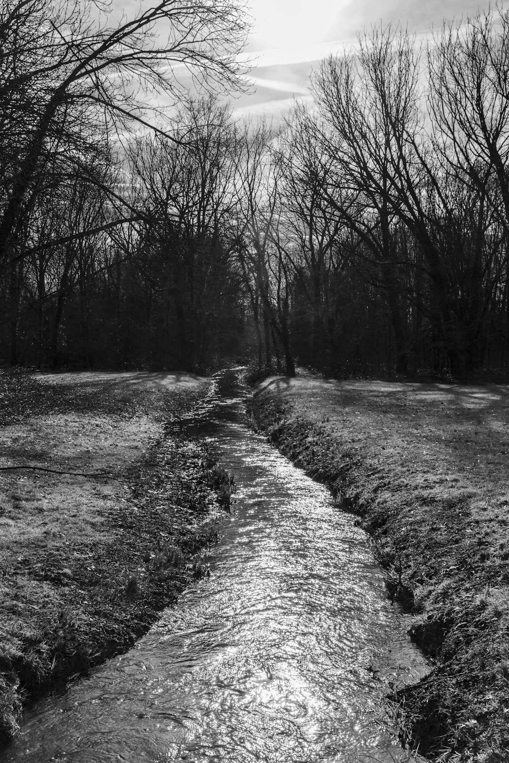 a small stream running through a grassy field