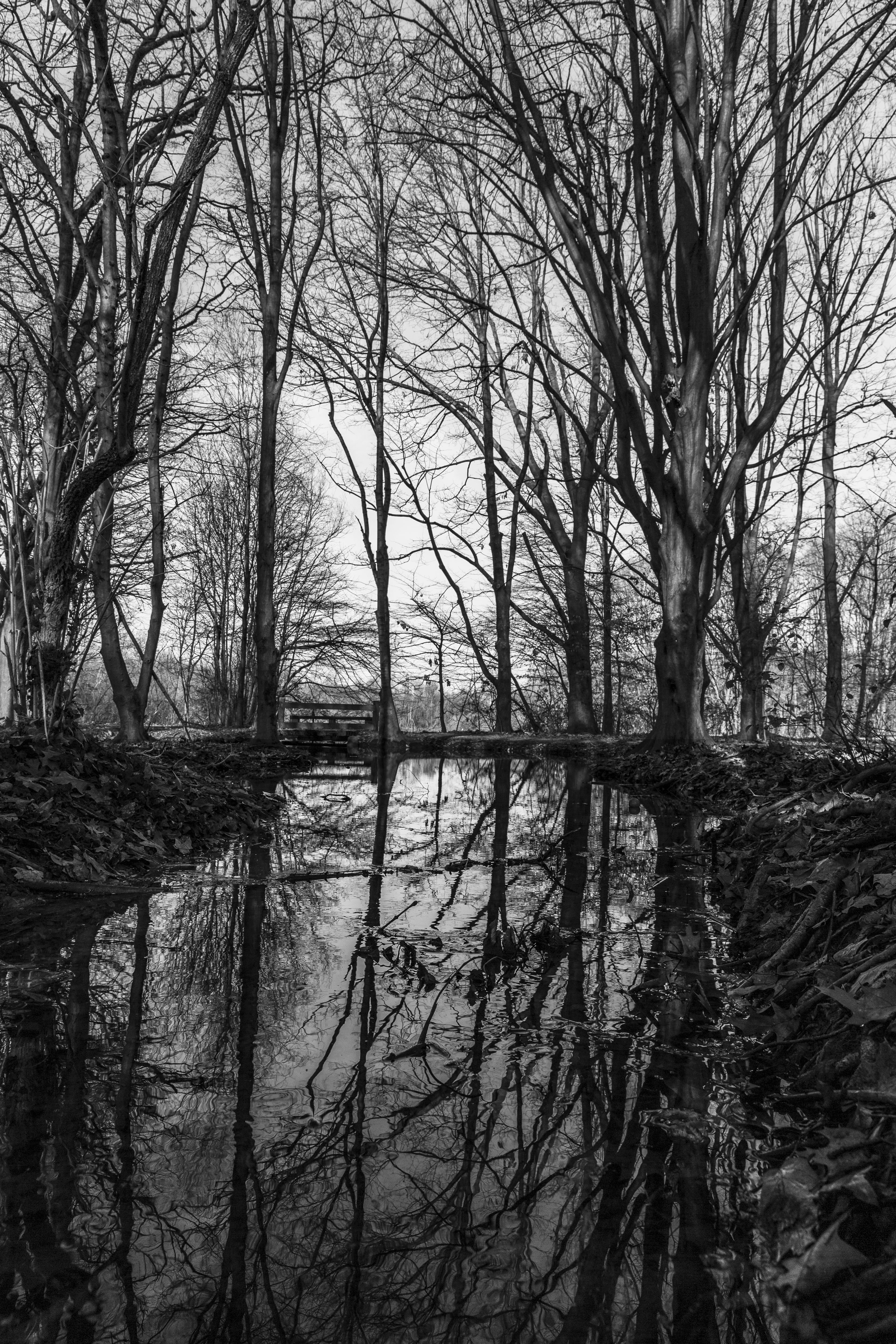 Photo by marcogiuseppetimelli