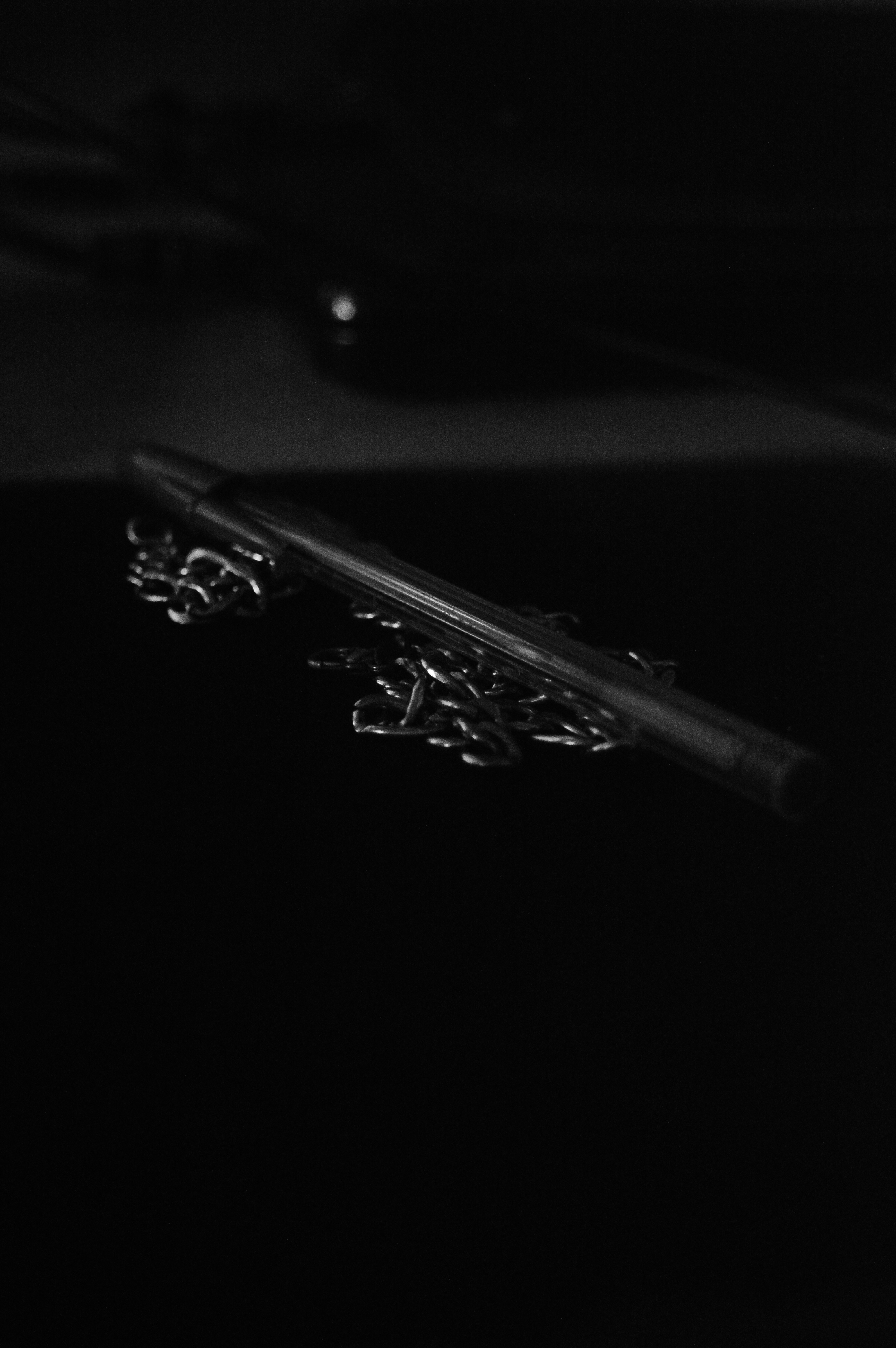 Una foto en blanco y negro de un teléfono celular