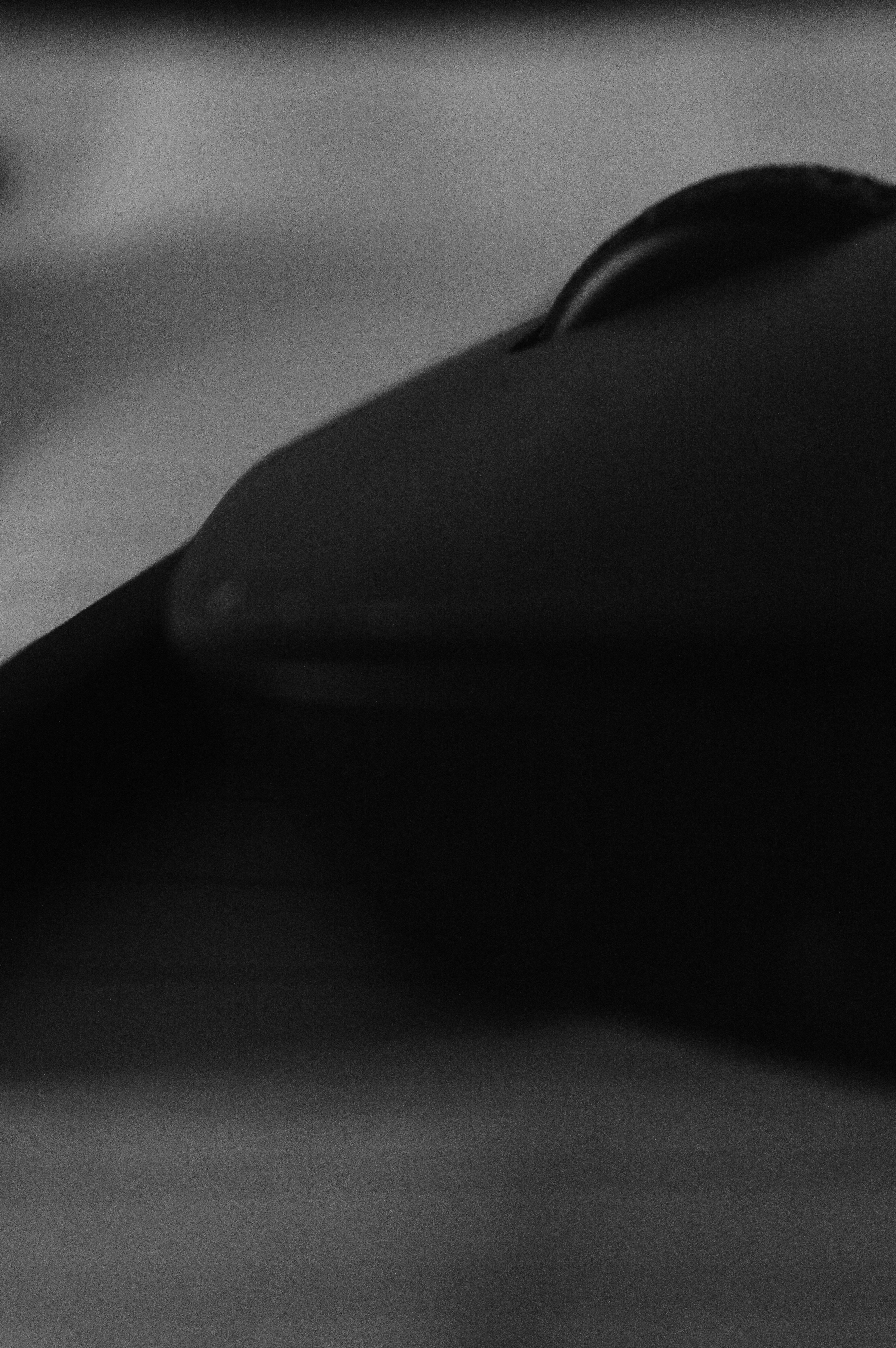 Photo by silveirinhajuan