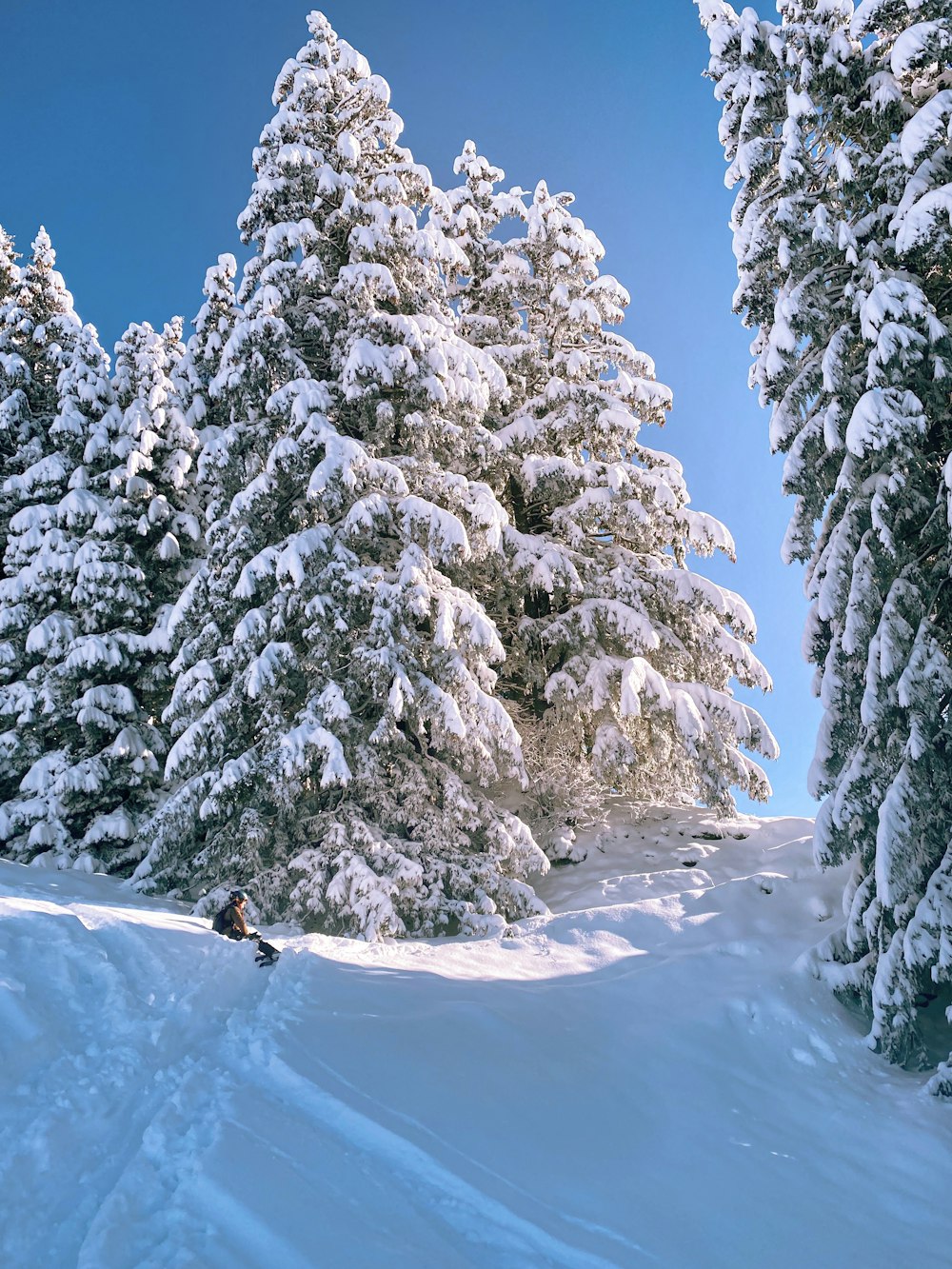 eine Person, die mit Skiern einen schneebedeckten Hang hinunterfährt