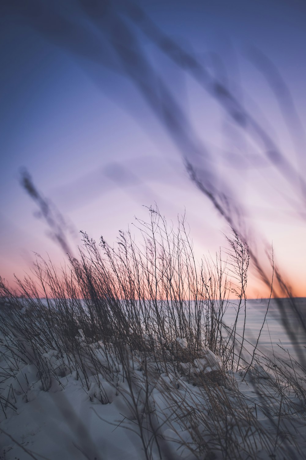 the sun is setting over the beach and the grass is blowing in the wind