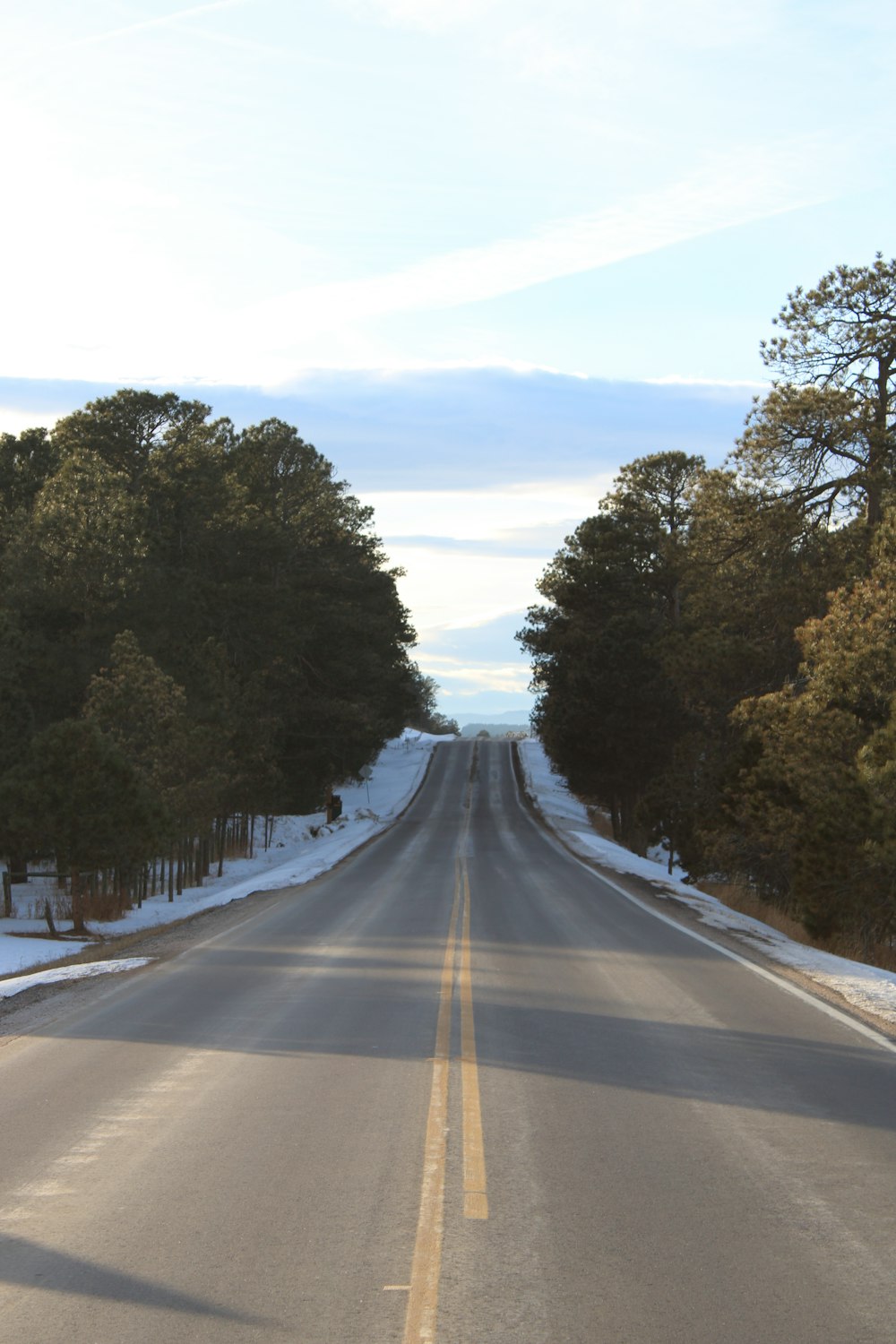 a long empty road with trees on both sides