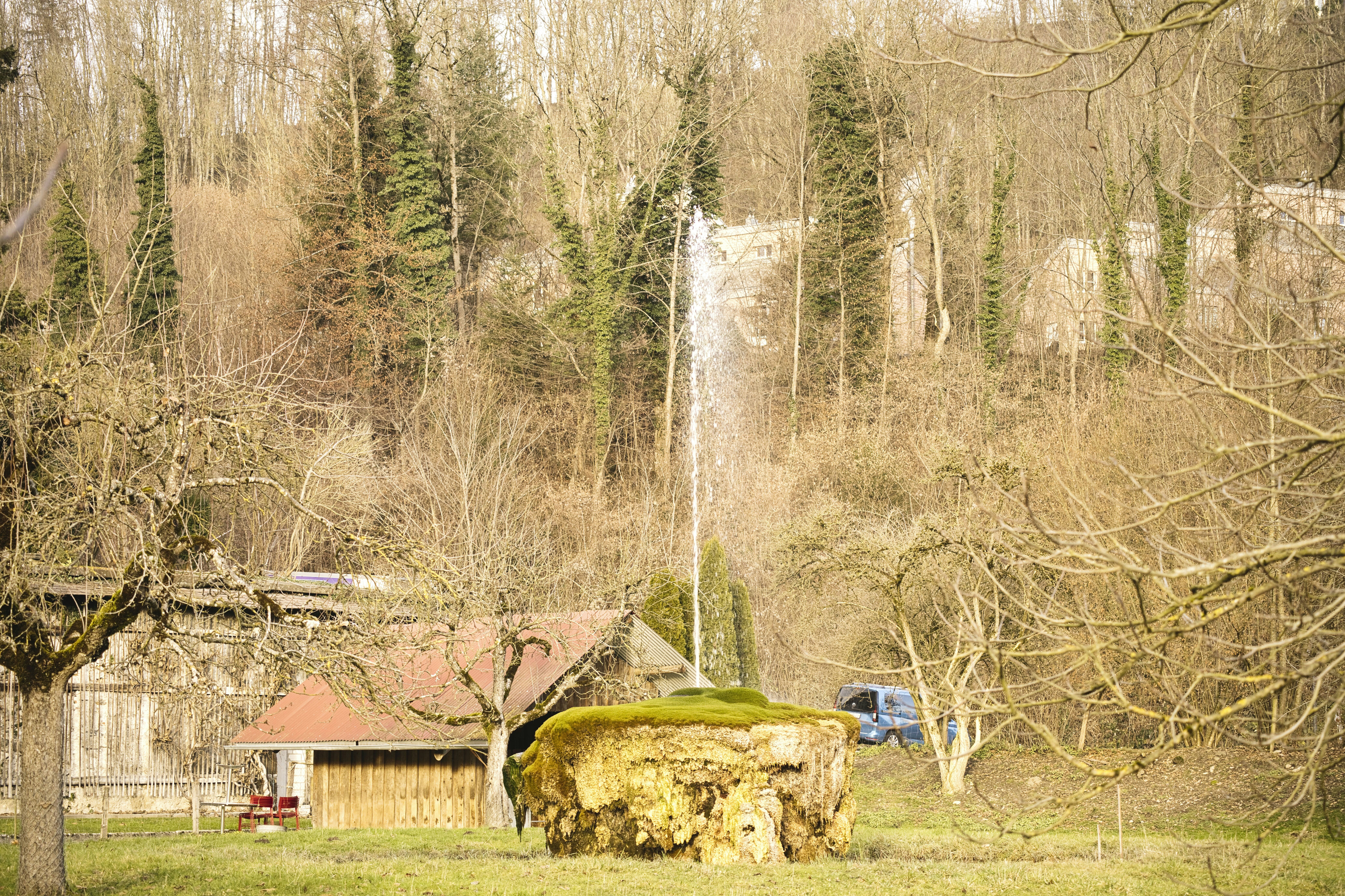 a tree stump in a field with a house in the background