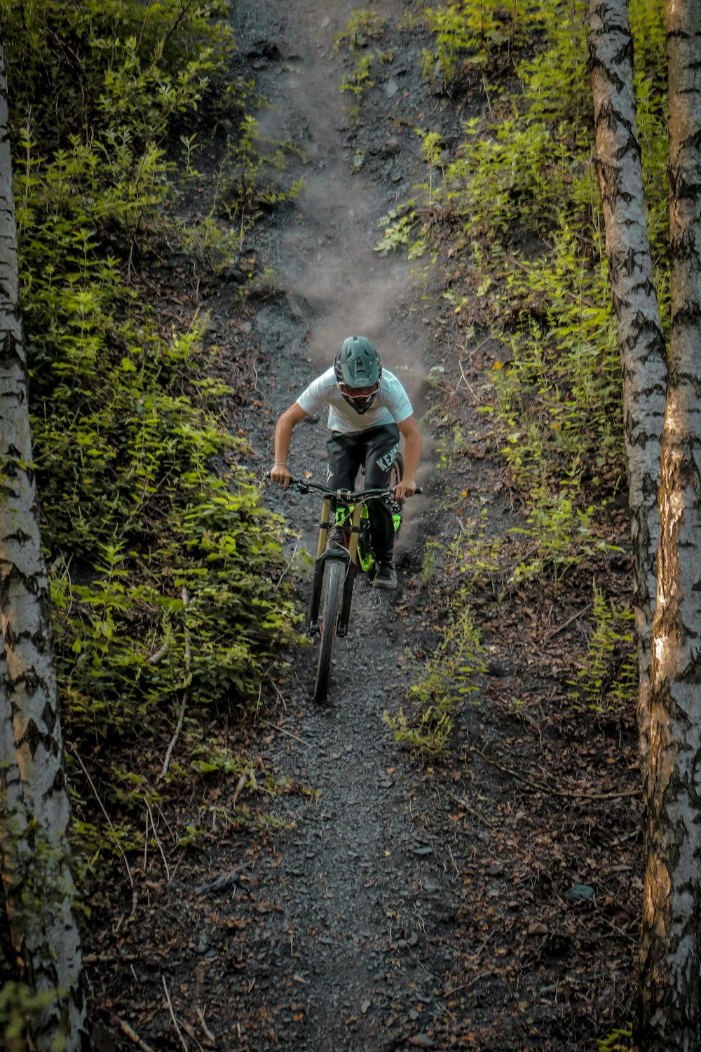 a man riding a bike down a forest trail