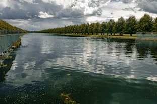 a body of water surrounded by trees under a cloudy sky