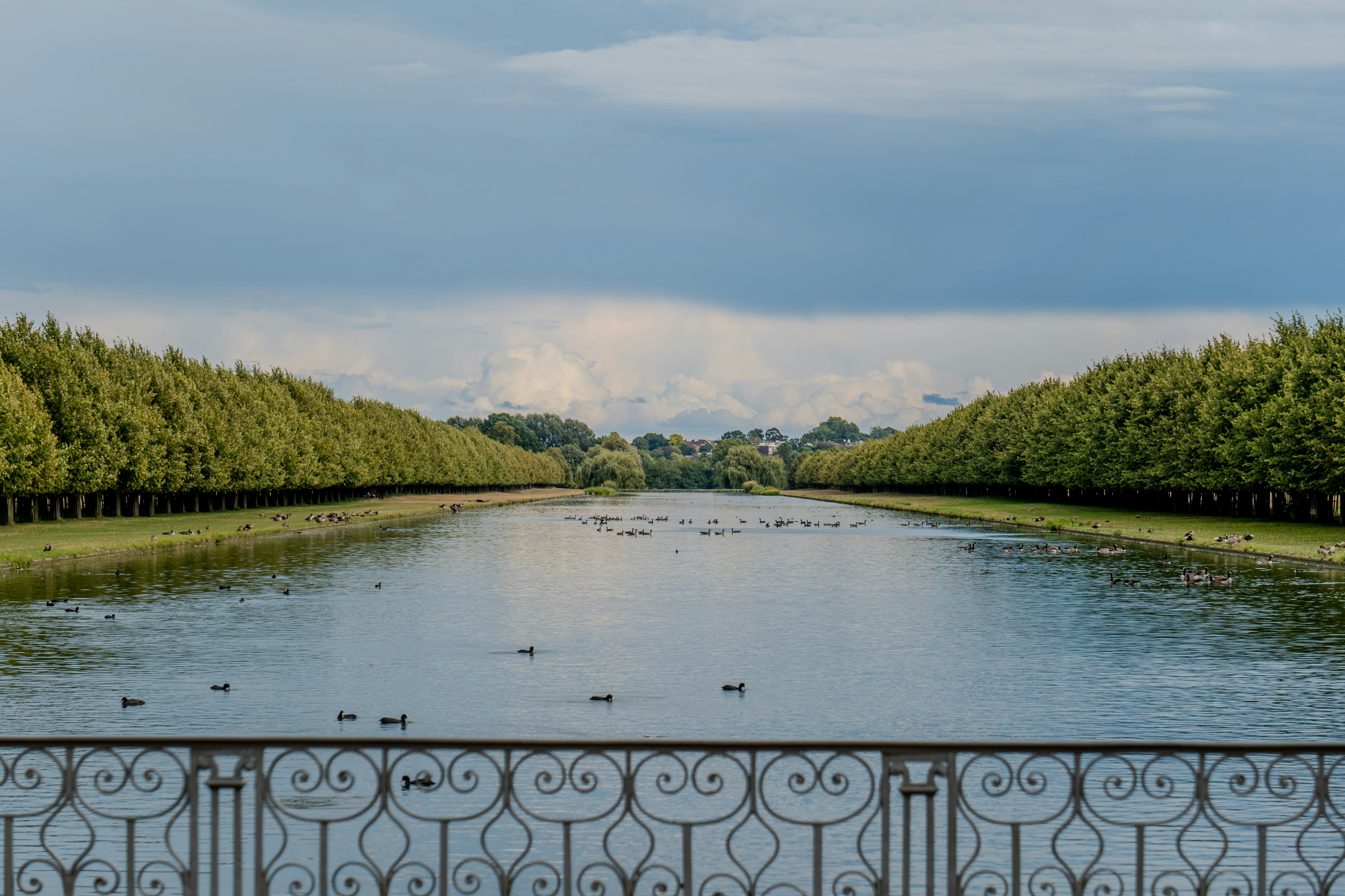 a lake surrounded by trees and a fence