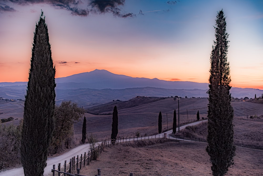 a scenic view of a mountain range with trees in the foreground