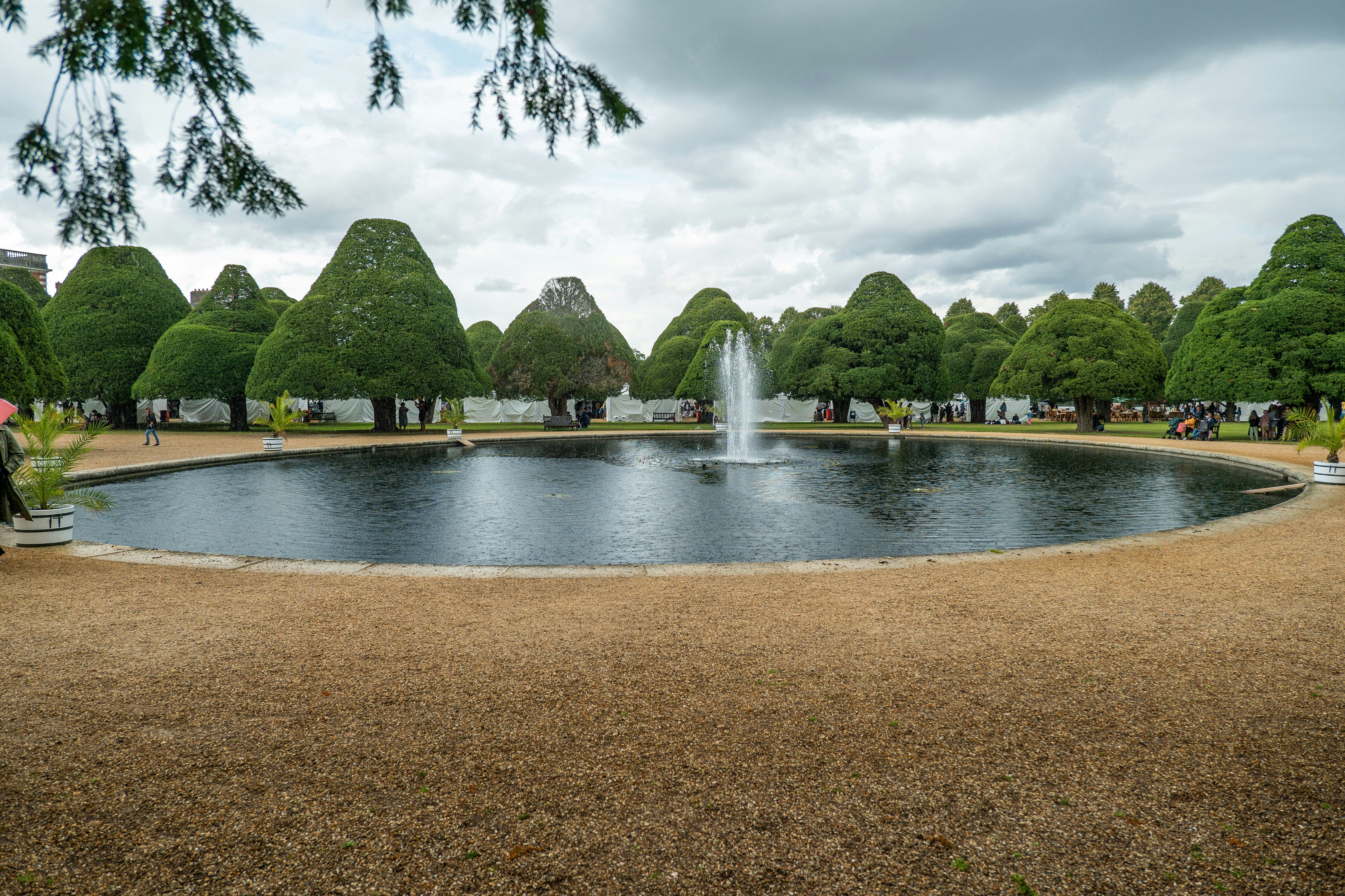 a pond in a park with a fountain surrounded by trees