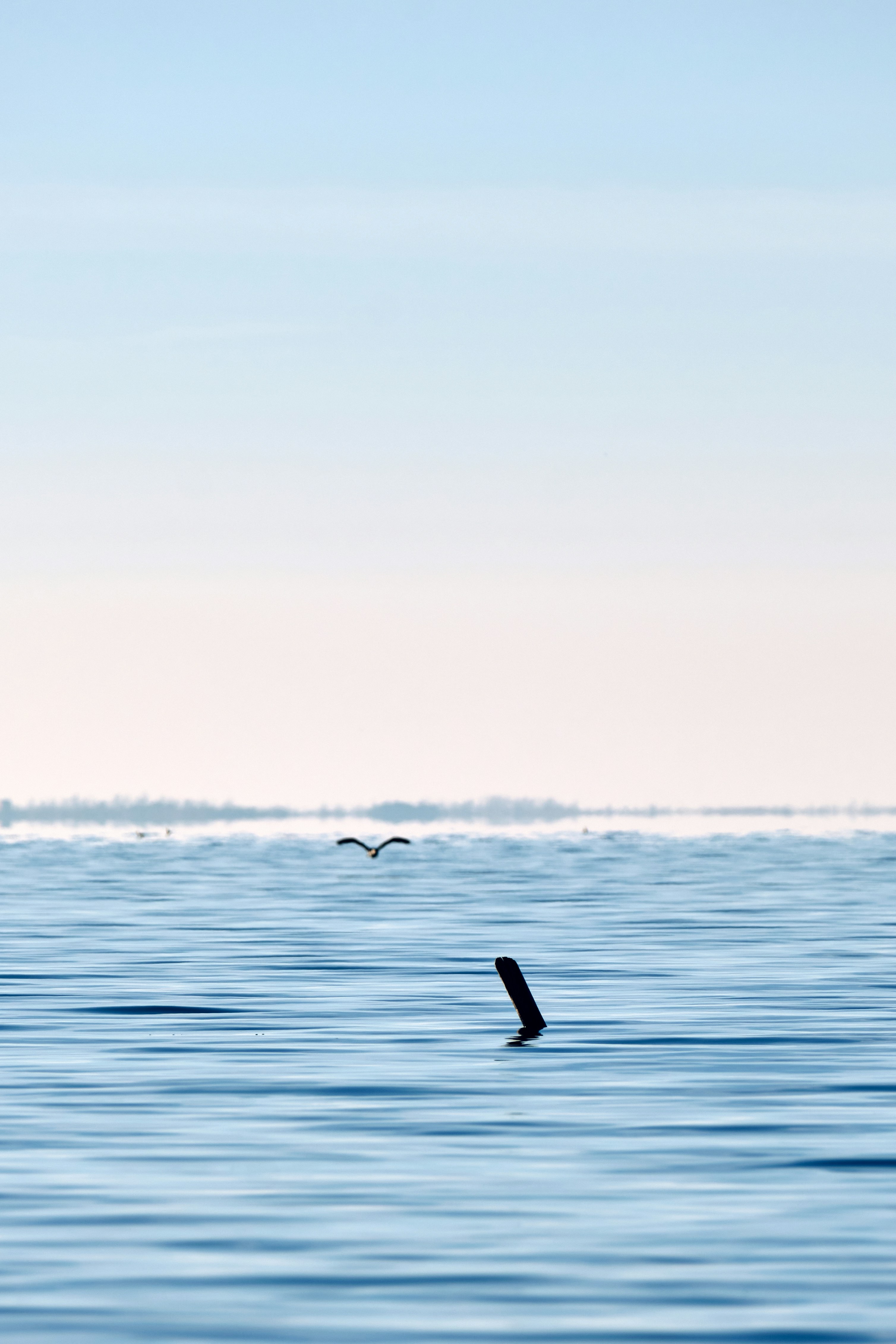 Photo by marcus_ganahl