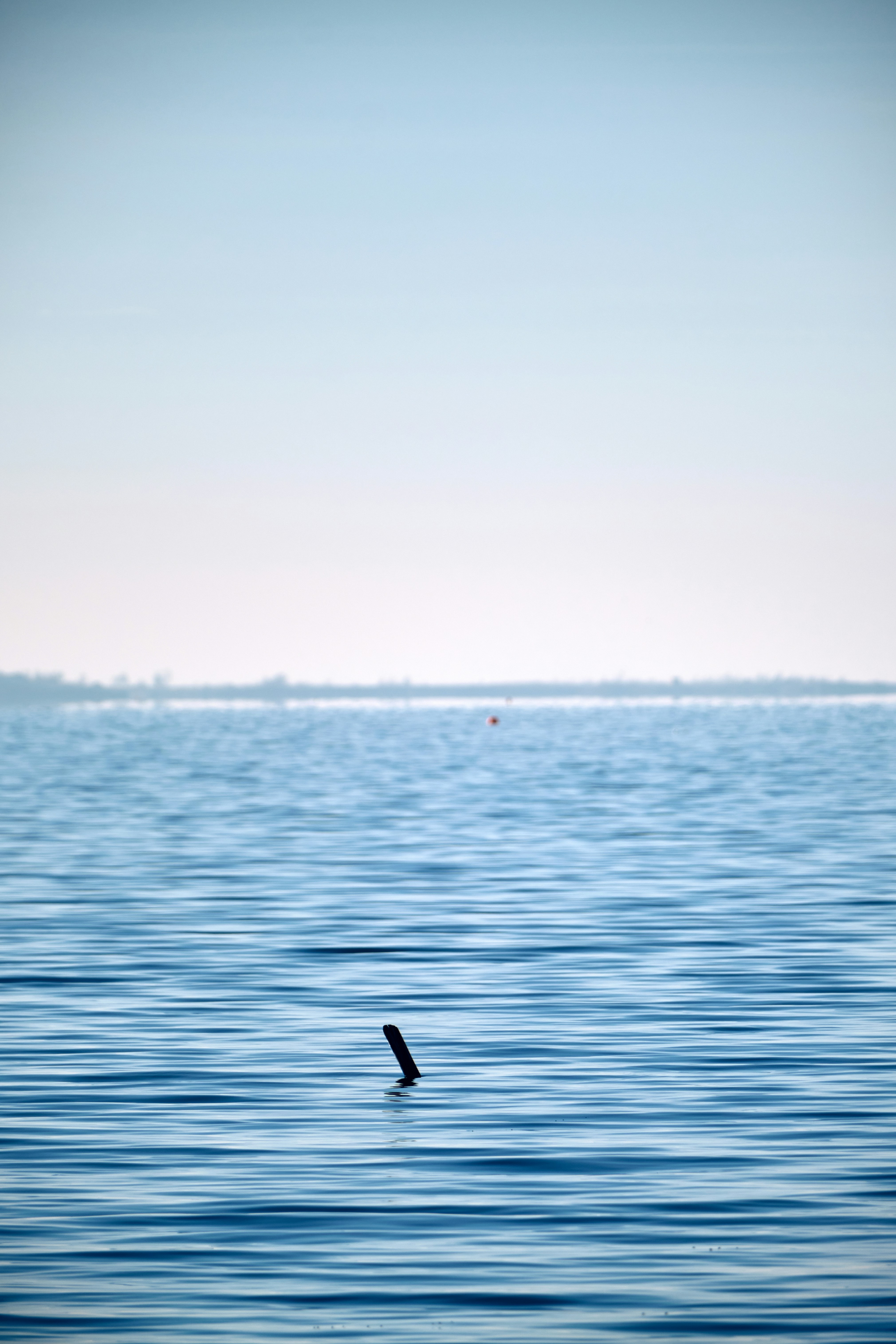 Photo by marcus_ganahl