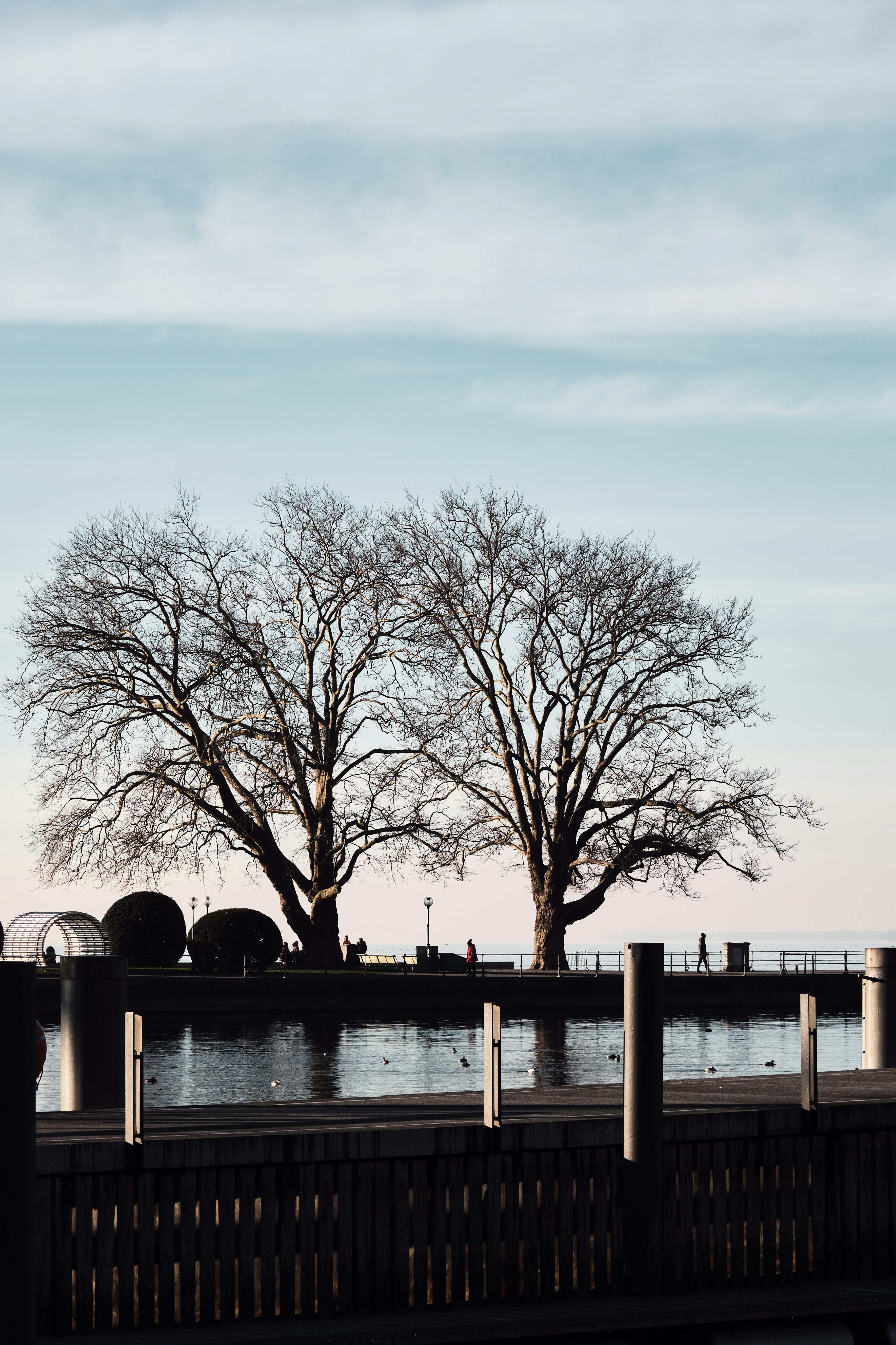 Photo by marcus_ganahl