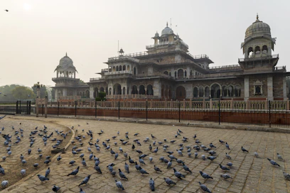 a flock of birds standing in front of a building